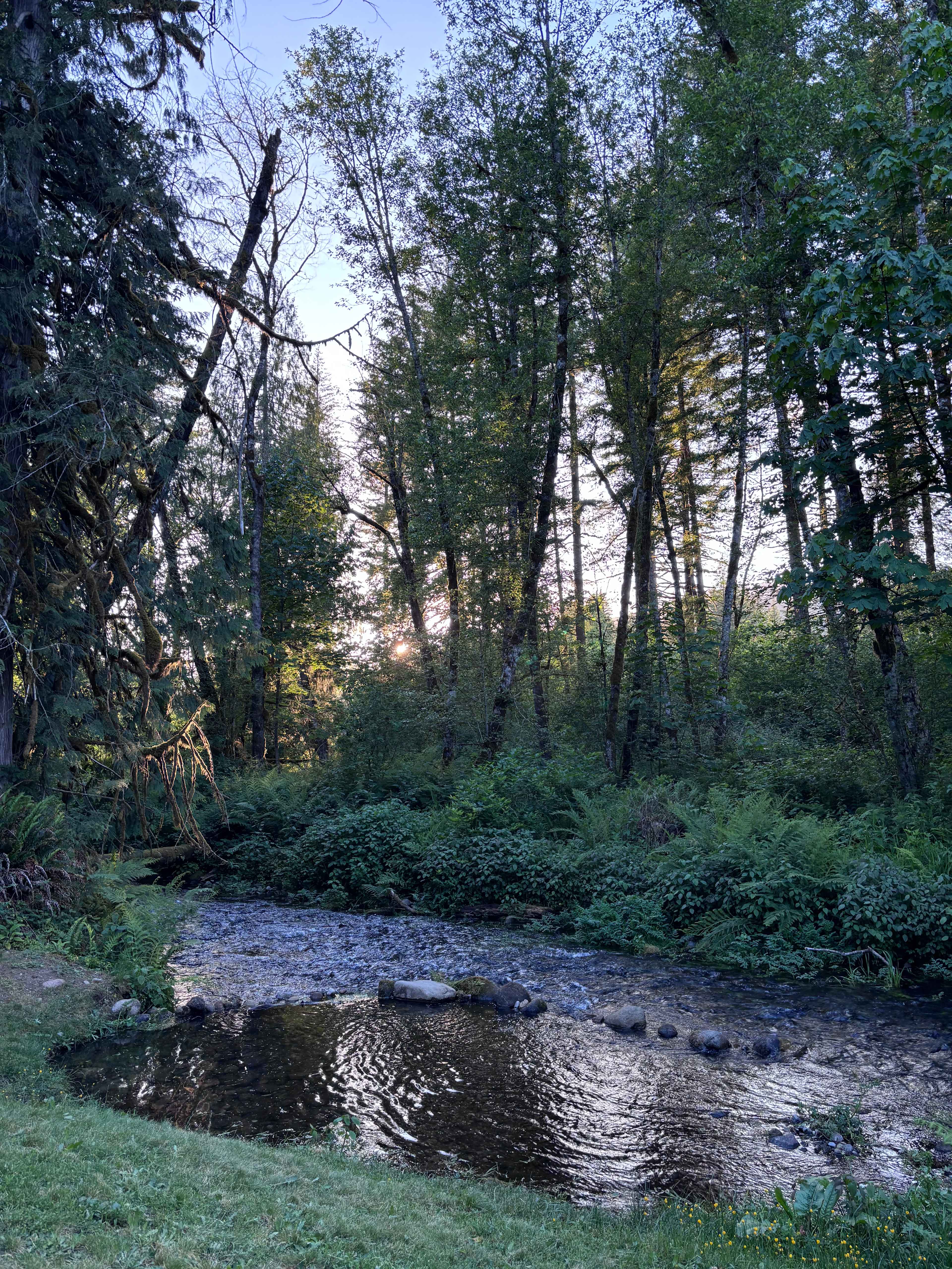 Secluded Creekside Camp