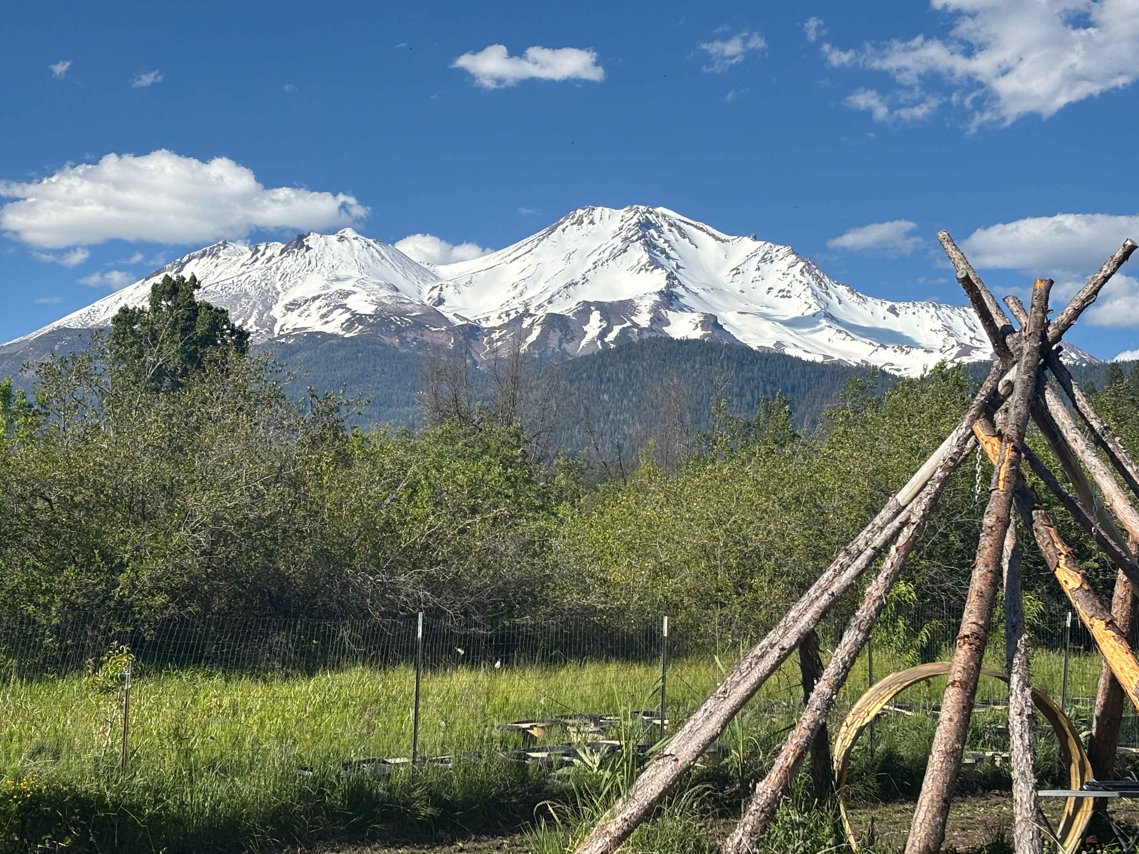 Shasta Gardens