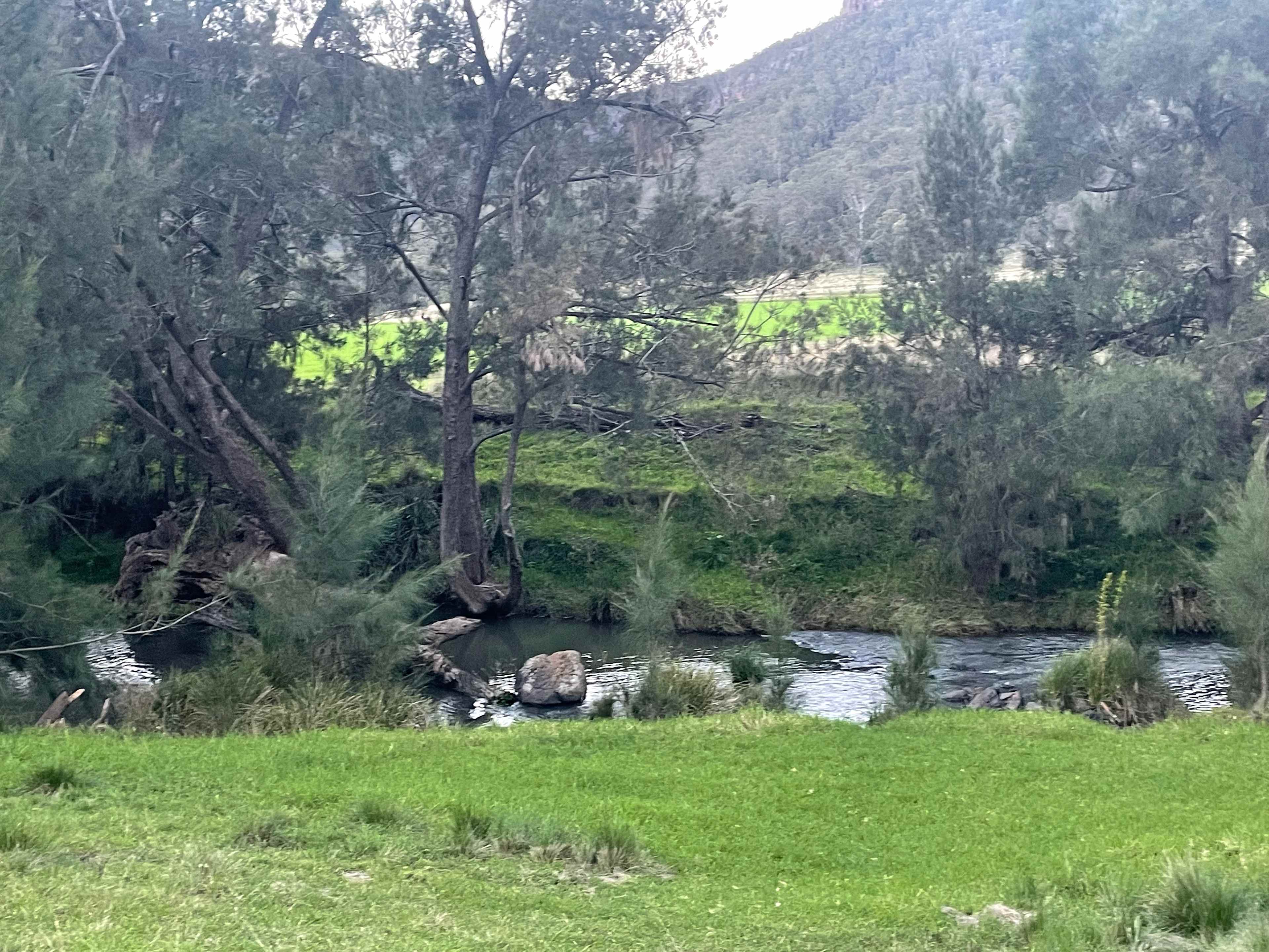 Condamine River 