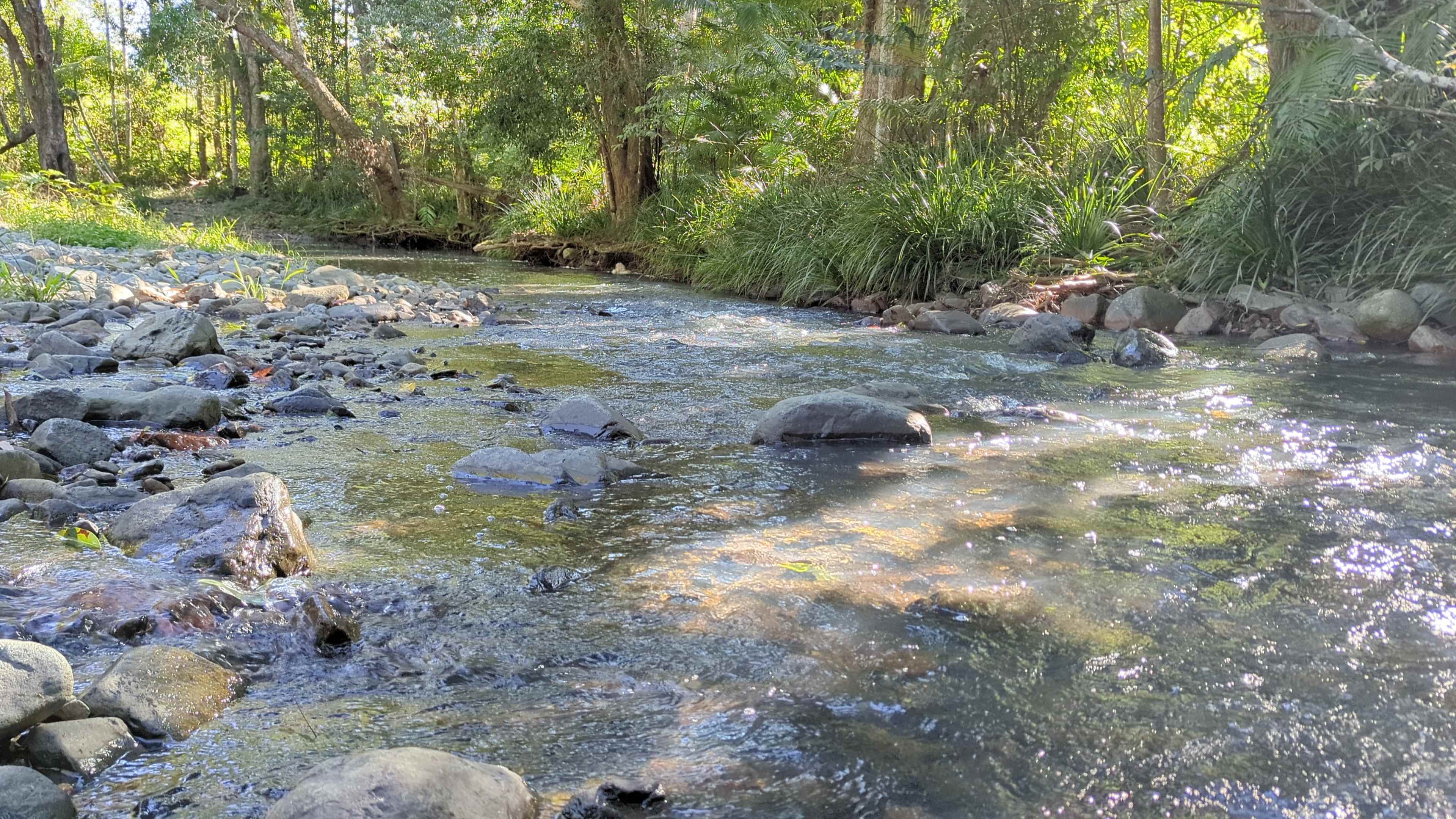 Private Rainforest Creek Camp