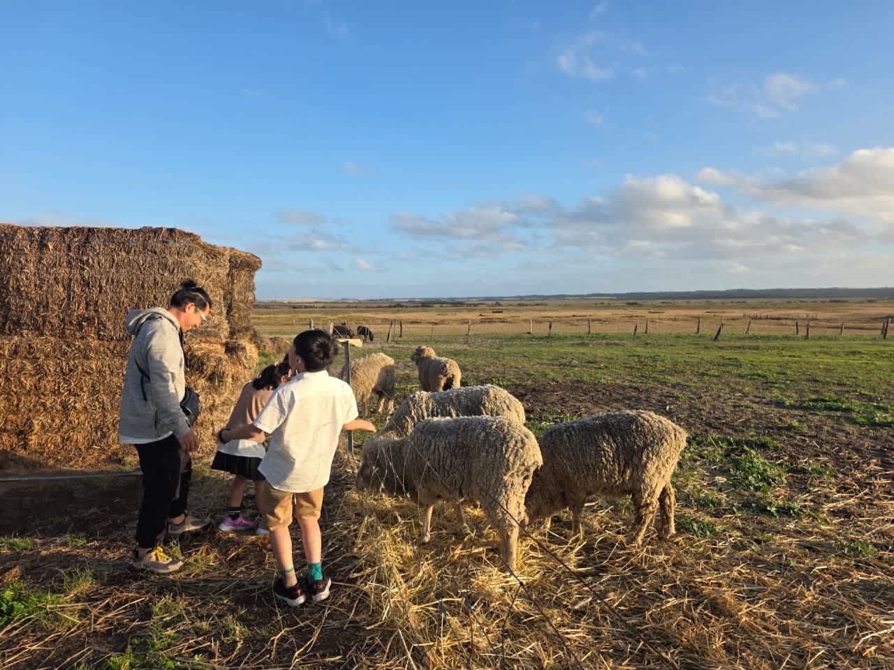 Nambung Station Stay