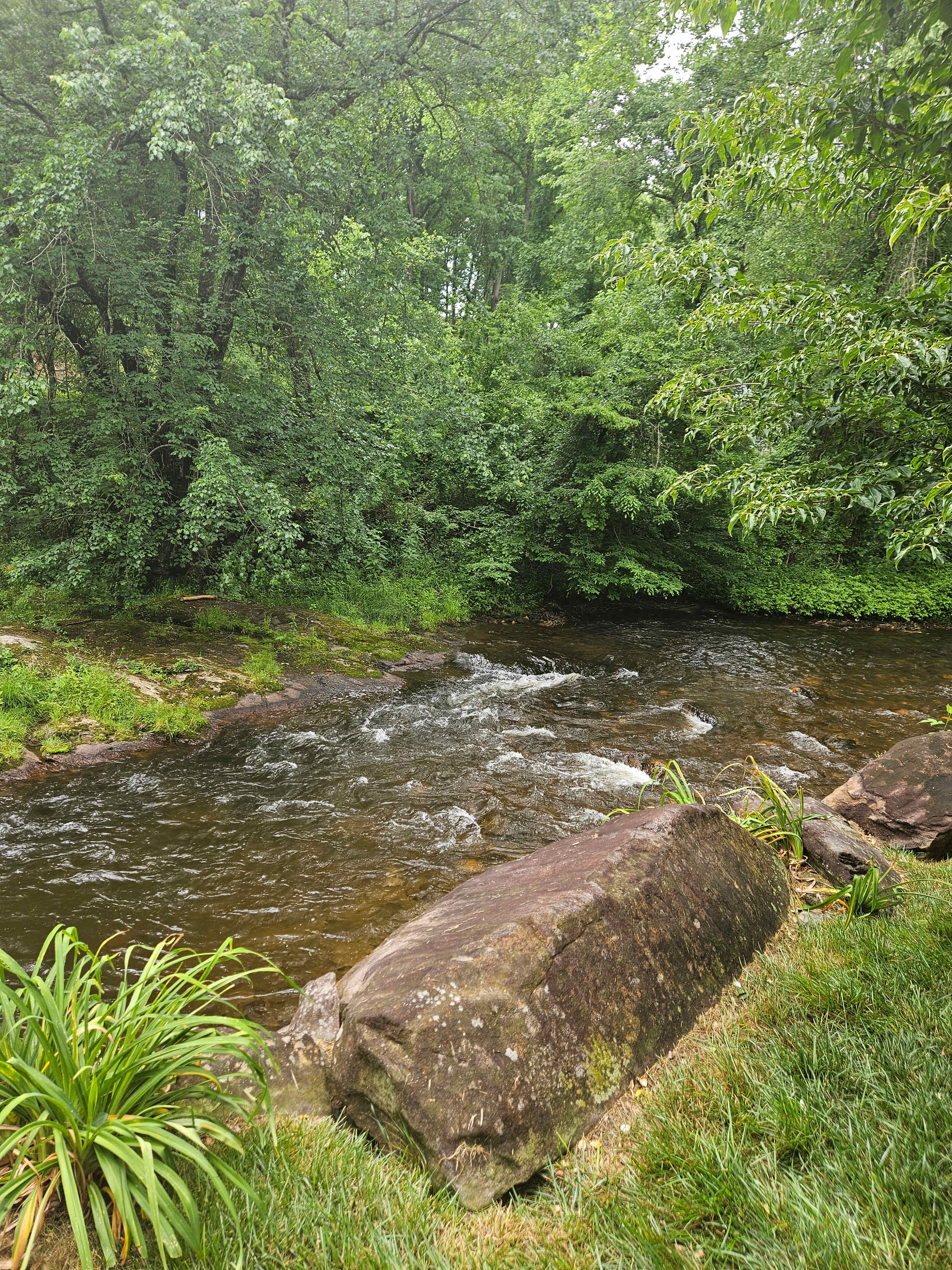 By The Creek Campspot