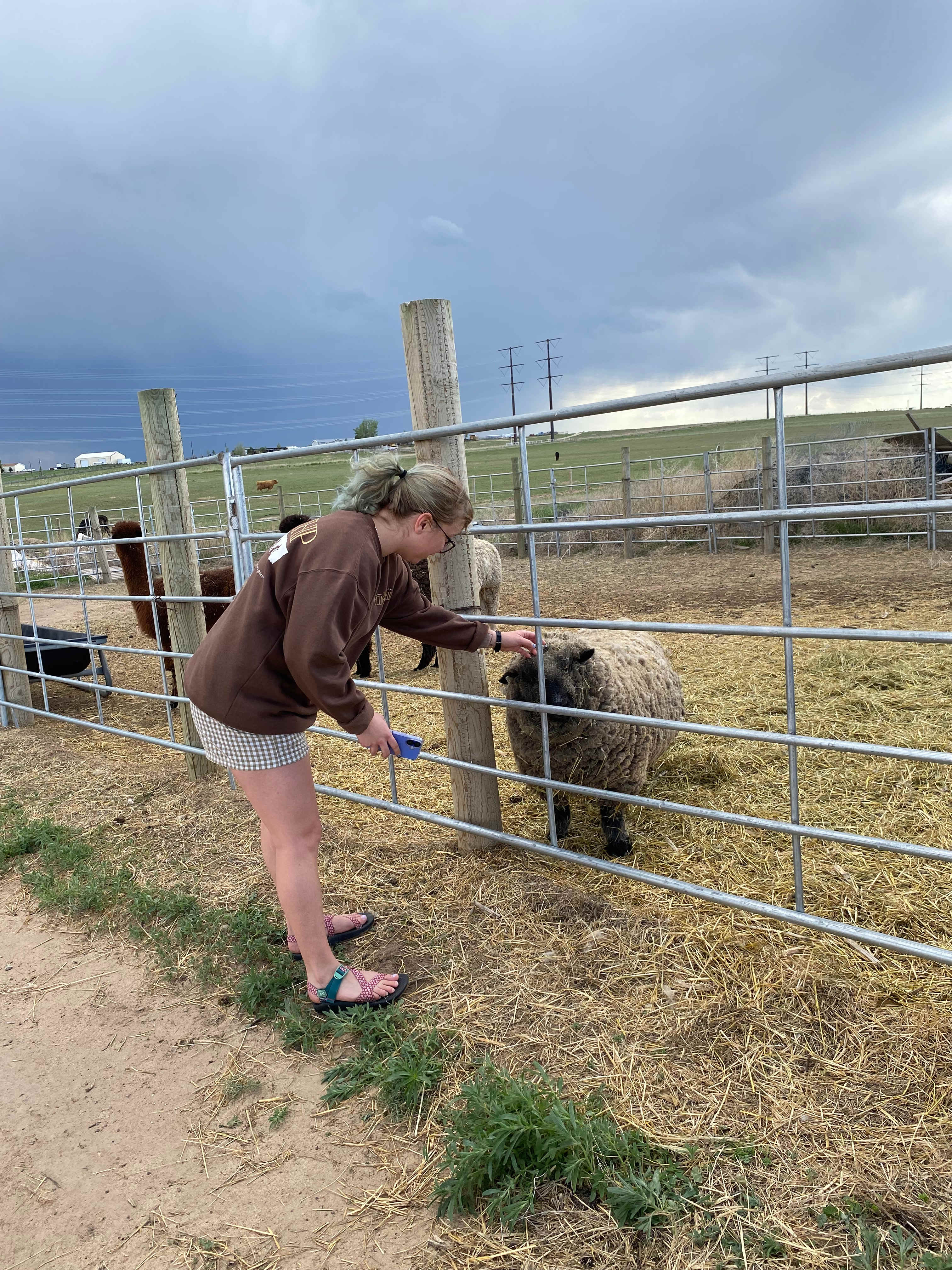Tuff’s Animal Rescue @ Tuff’s Ranch