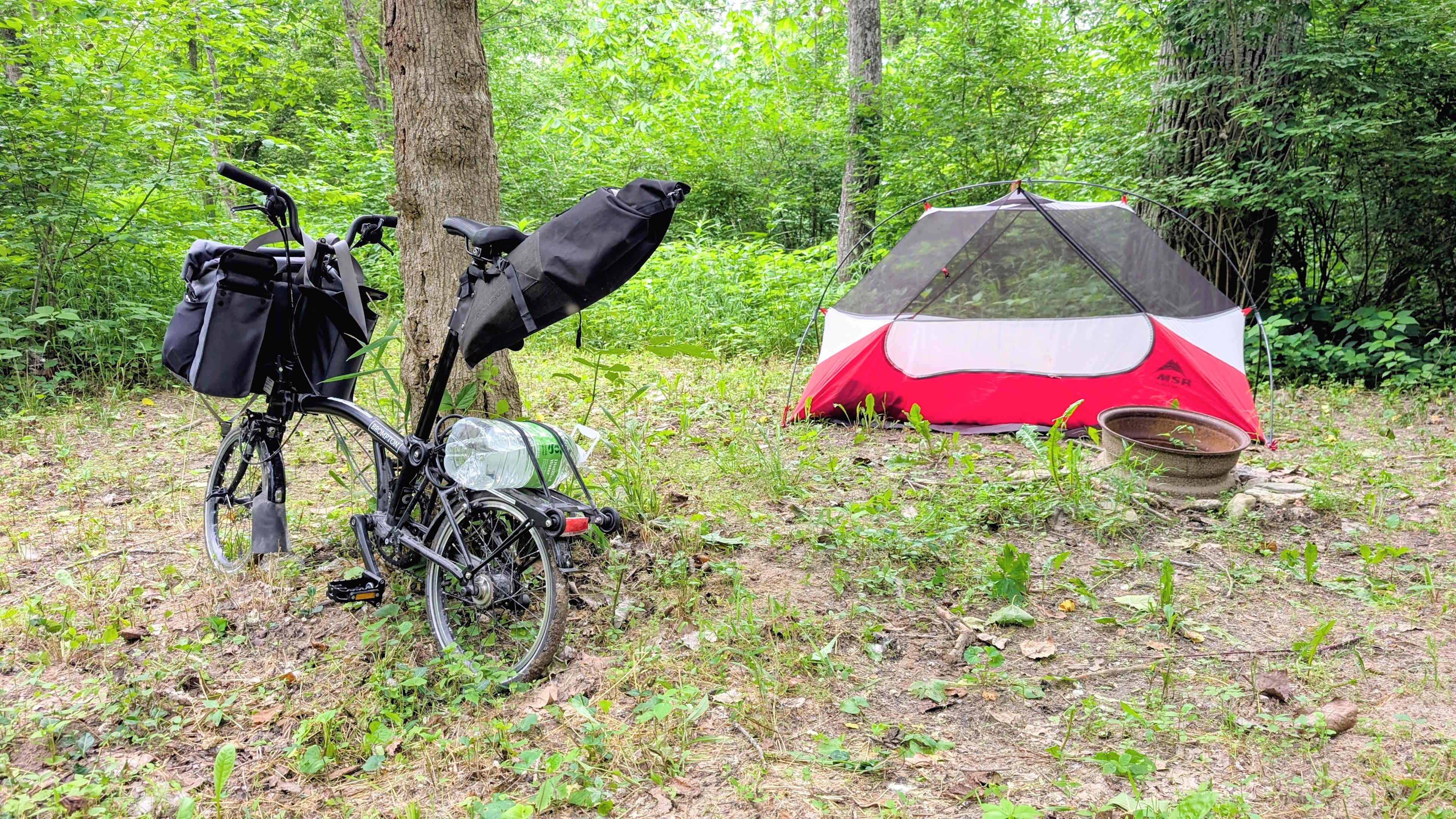 Picture of the site