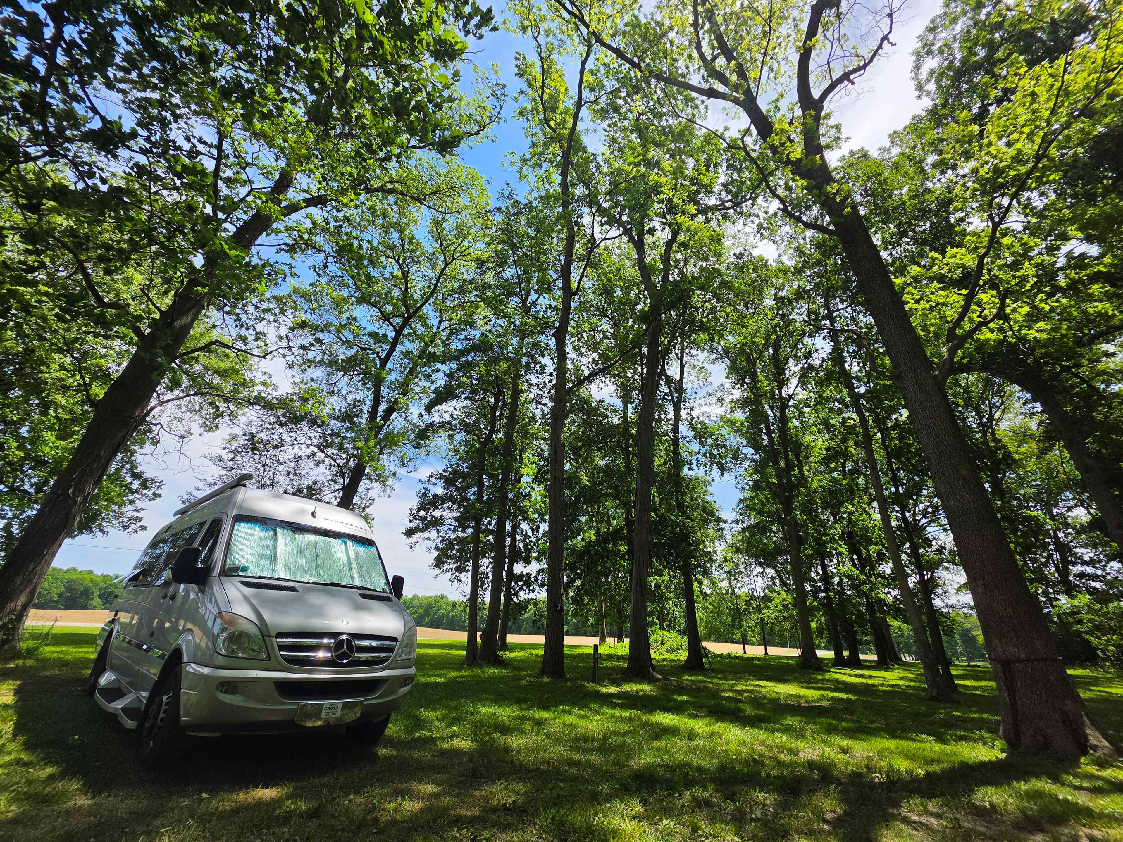 Site 3 with electric.