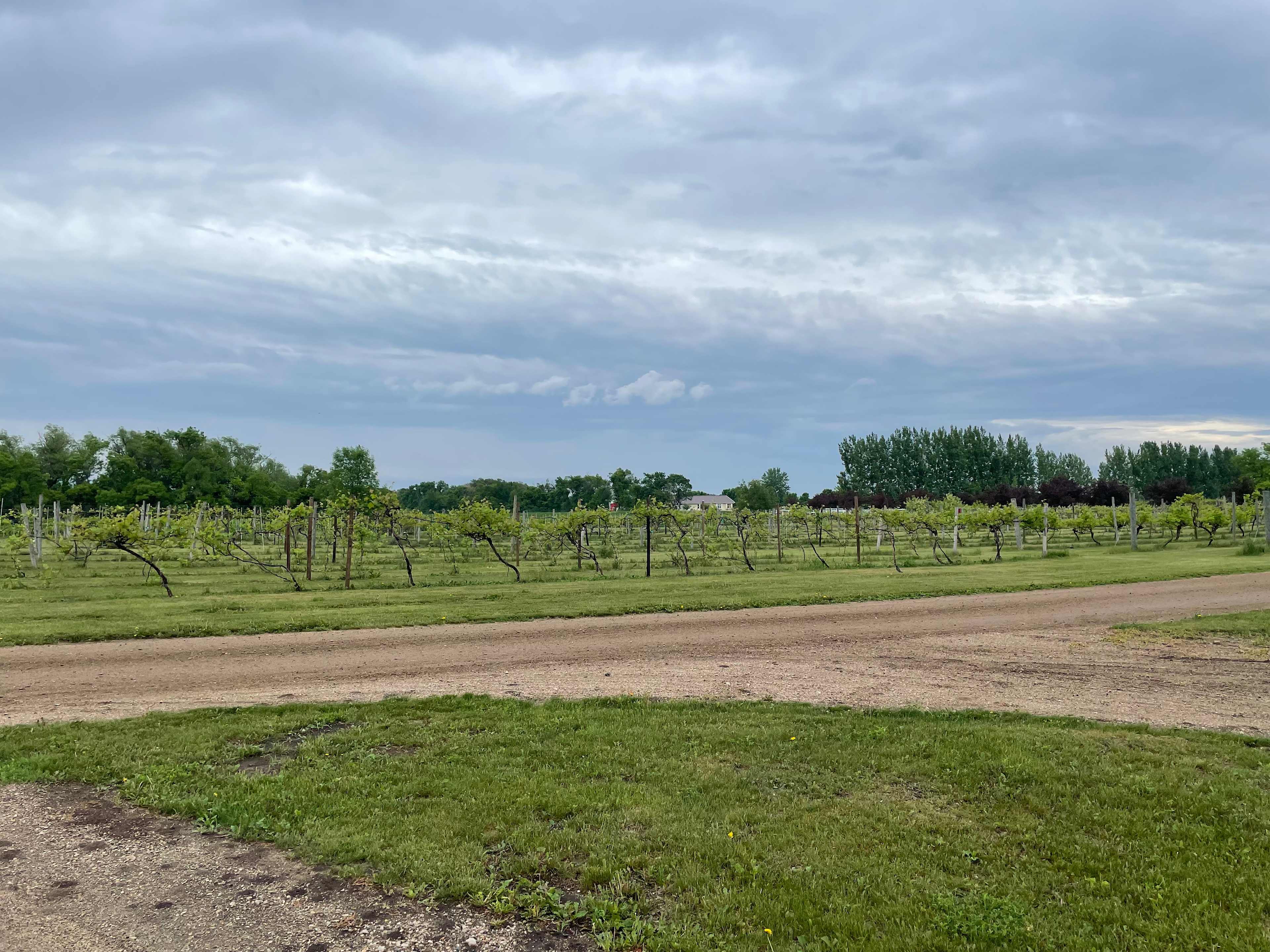 Viking Vines RV Campground