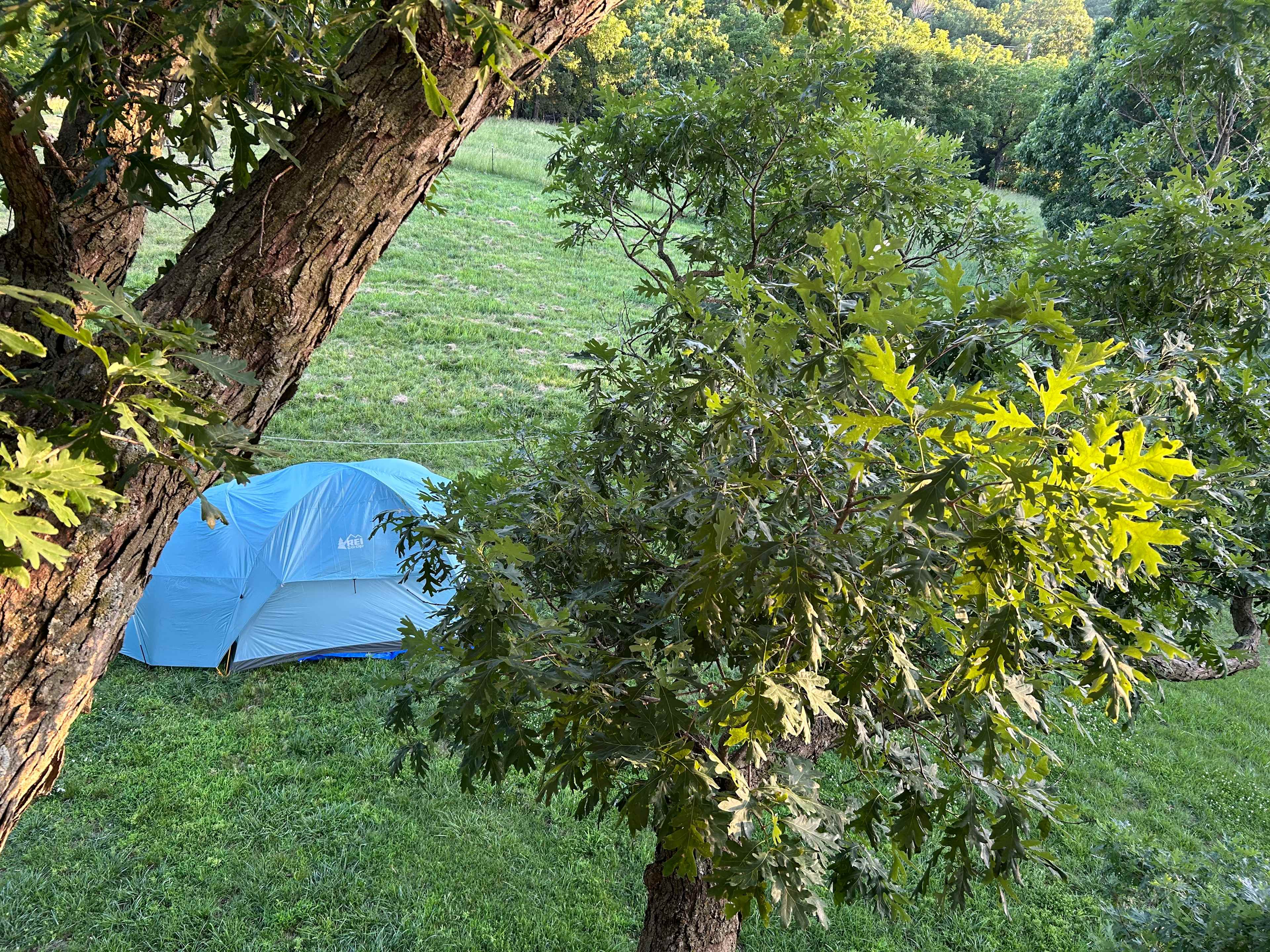 Selby Farm Camping