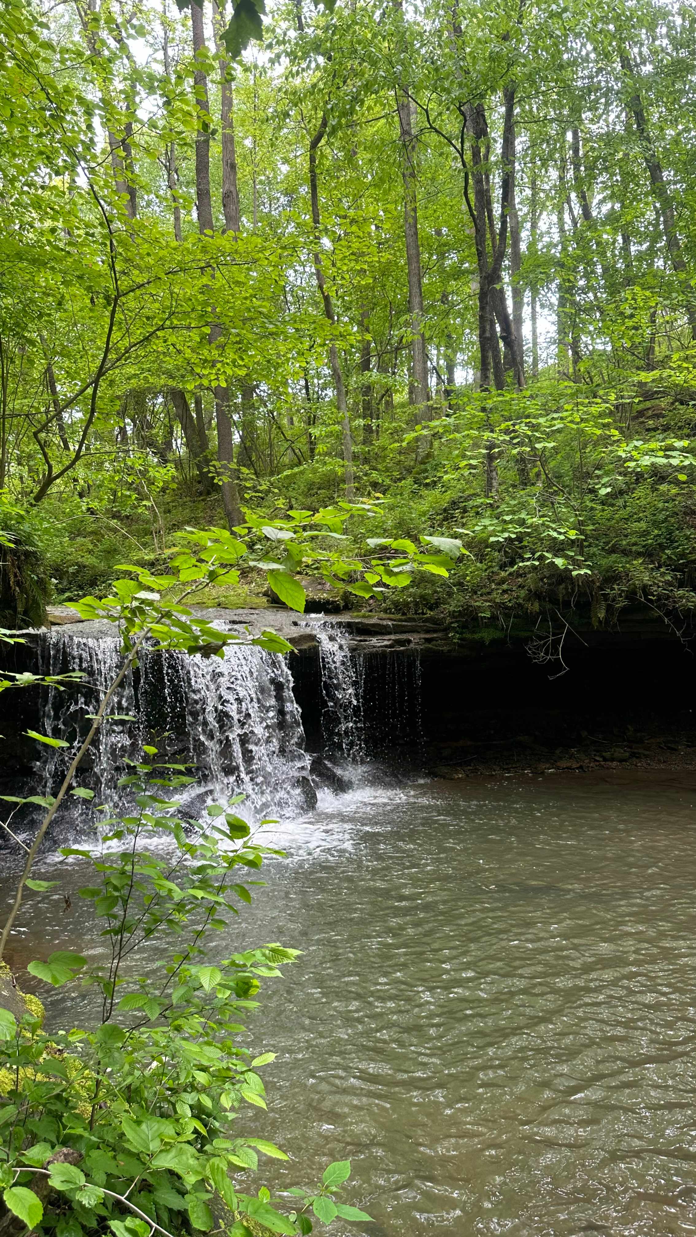 River Hills Above the Allegheny