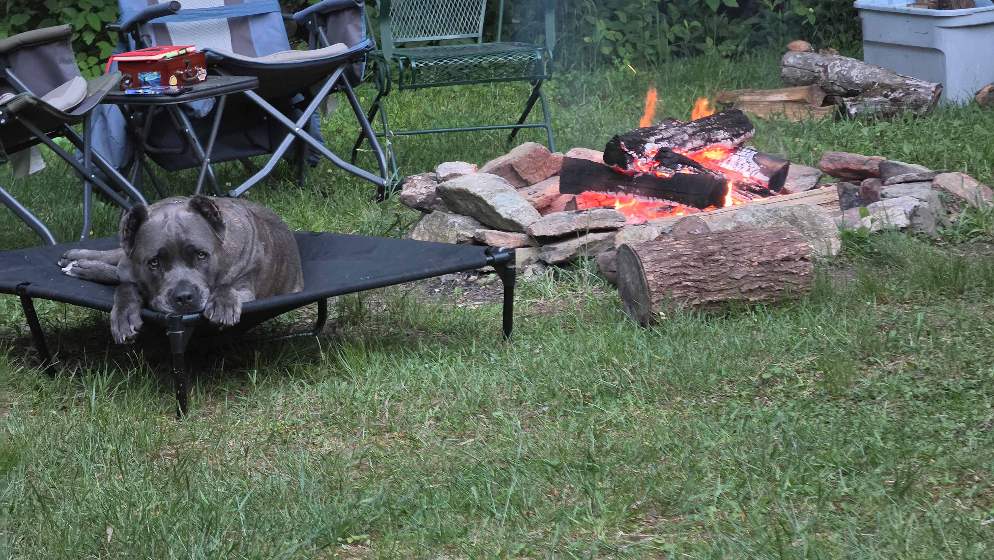 Rocky Face Camp