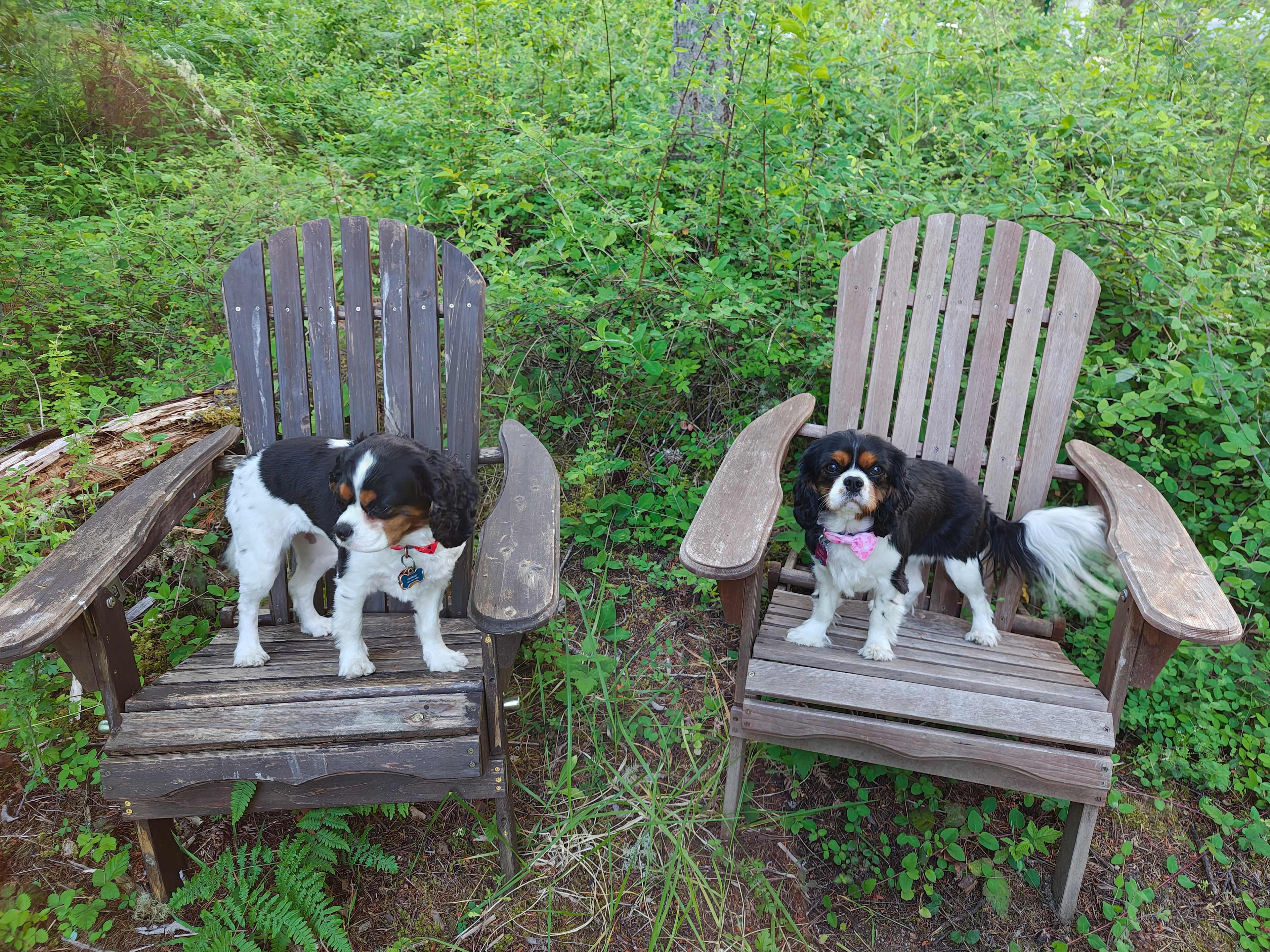 Resting along the trail