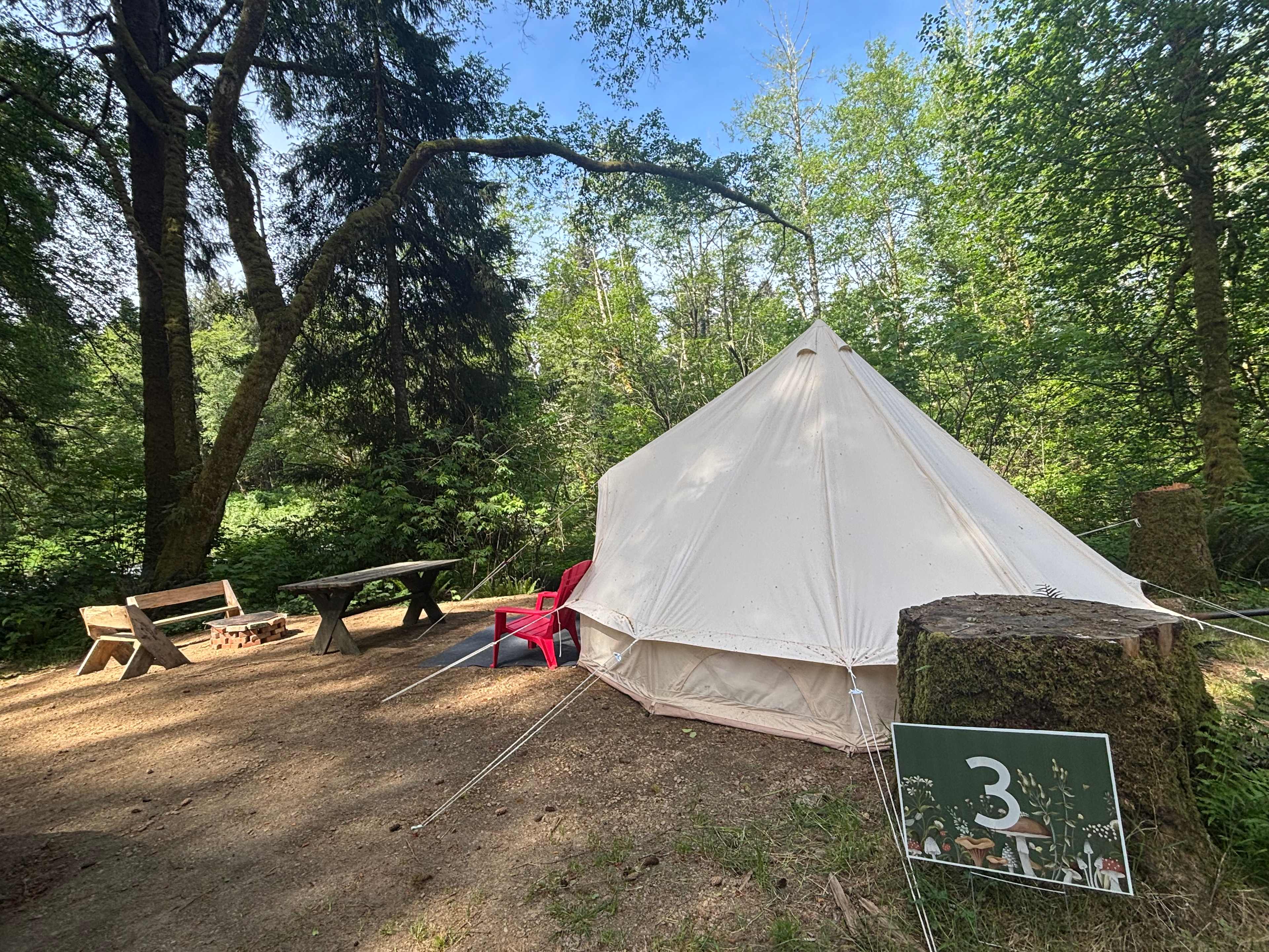 The Ultimate Camping Trip
