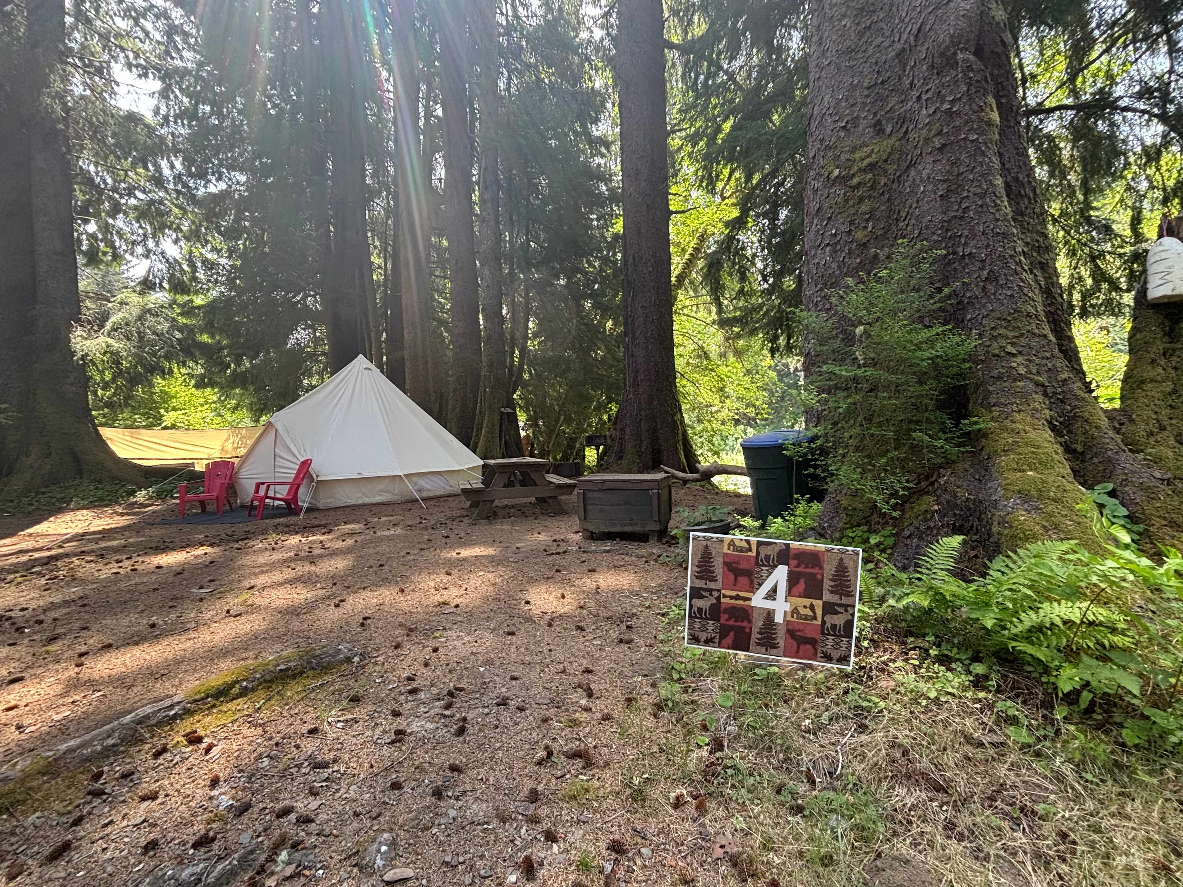The Ultimate Camping Trip