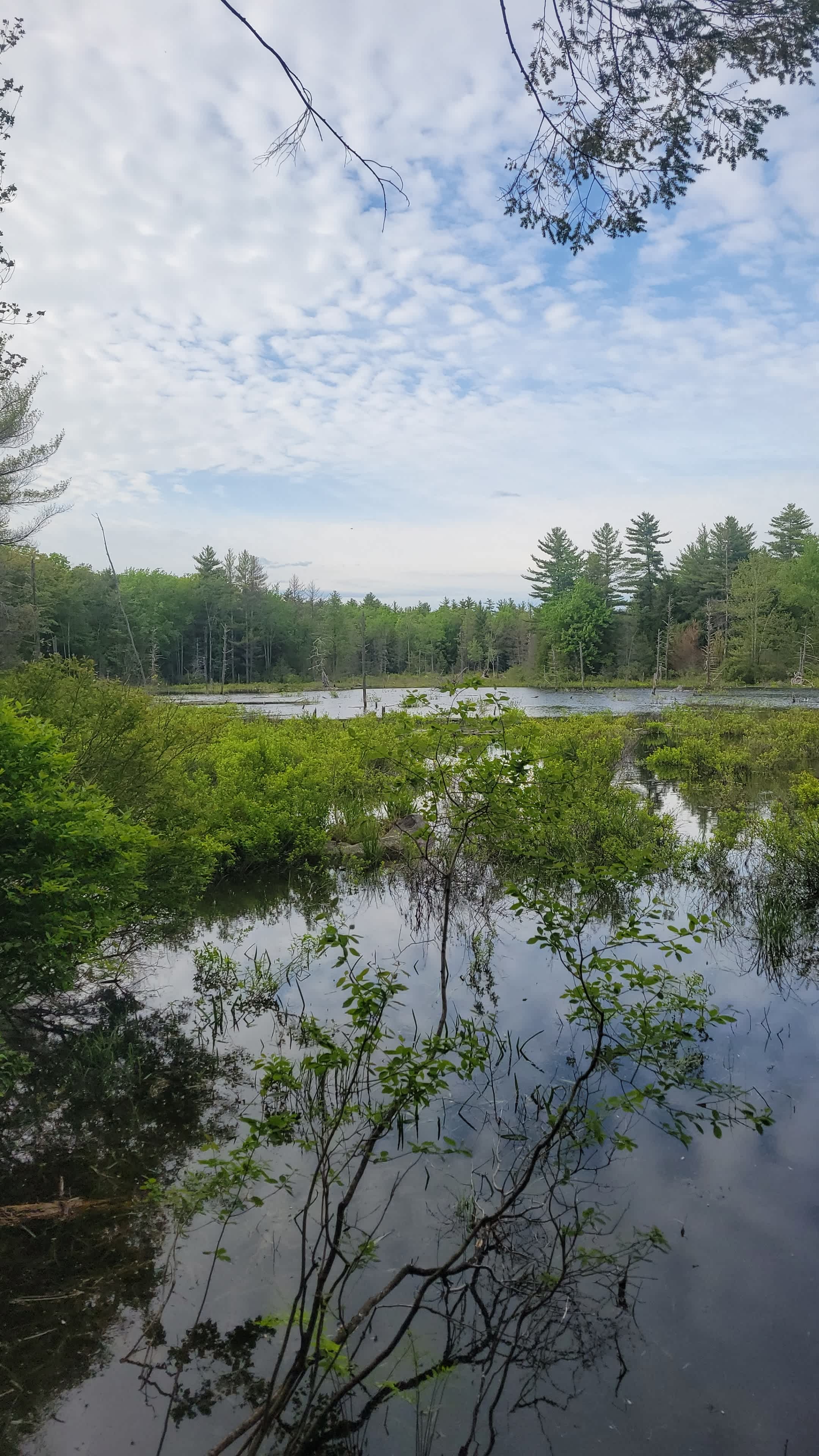 Mountain Brook Hideaway