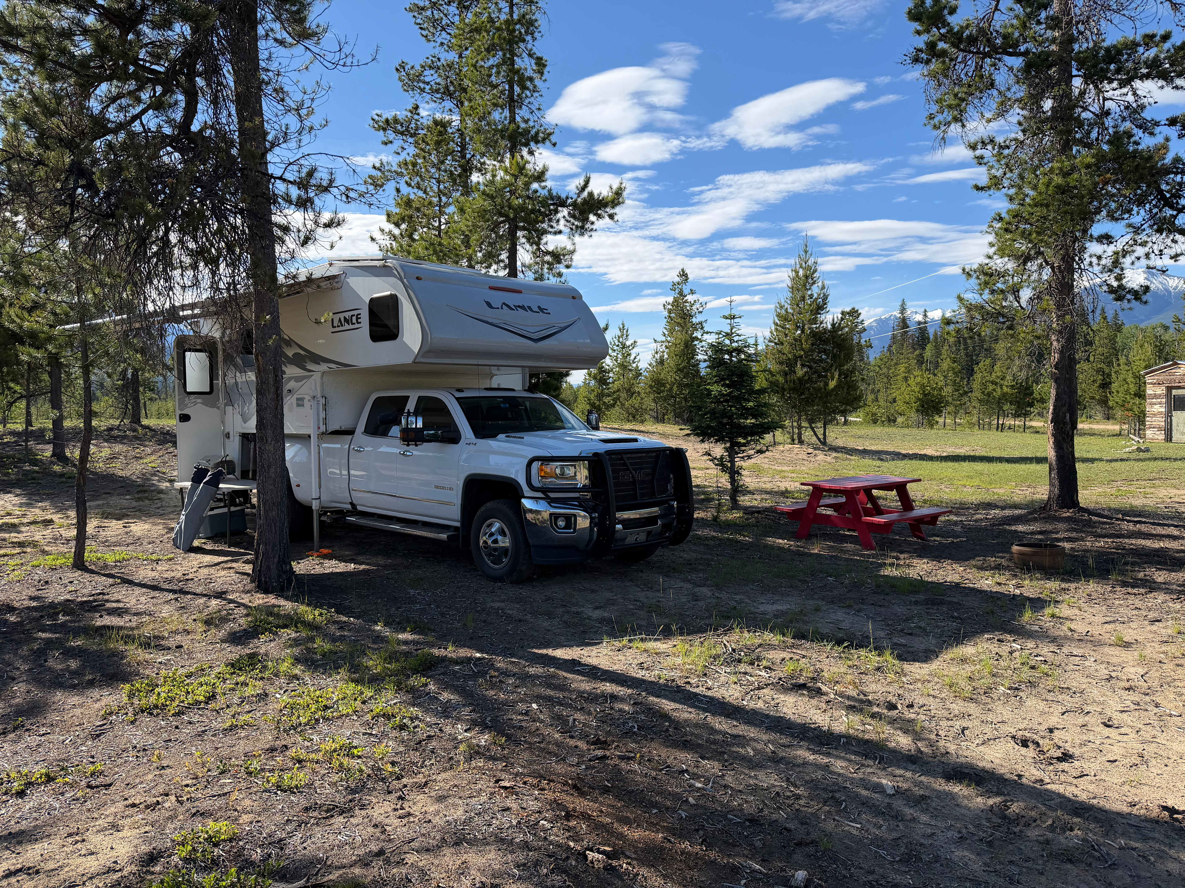 Fuzzy Buddy Ranch
