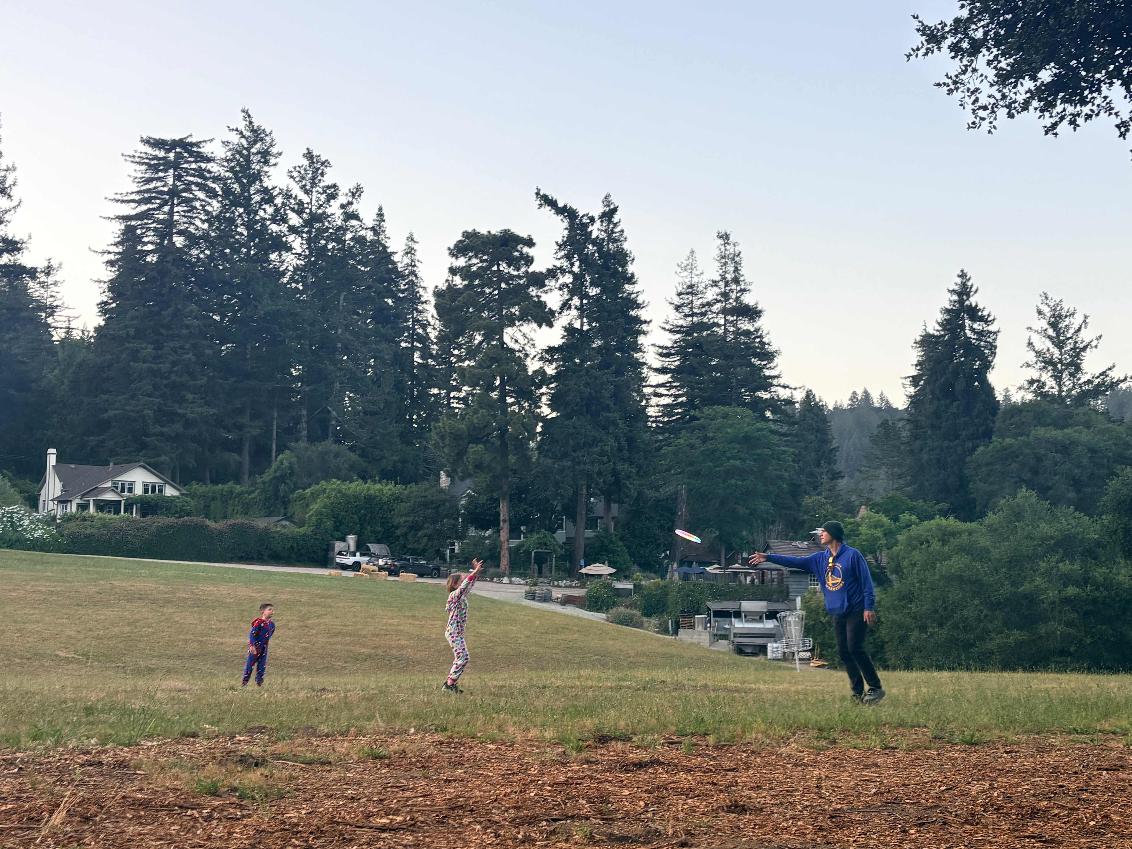 evening frisbee in the meadow!