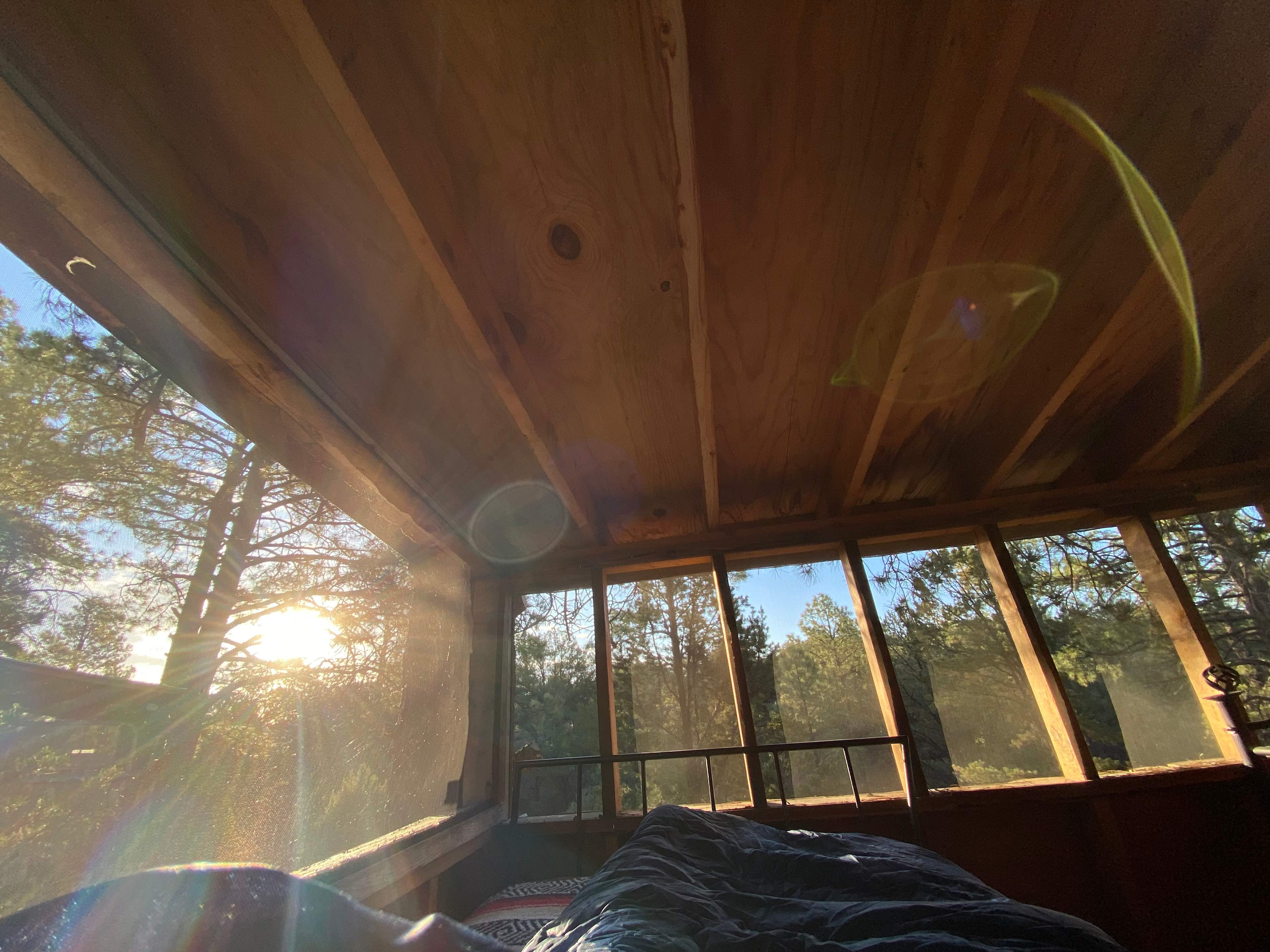 Woken up by the sun and surround by trees 