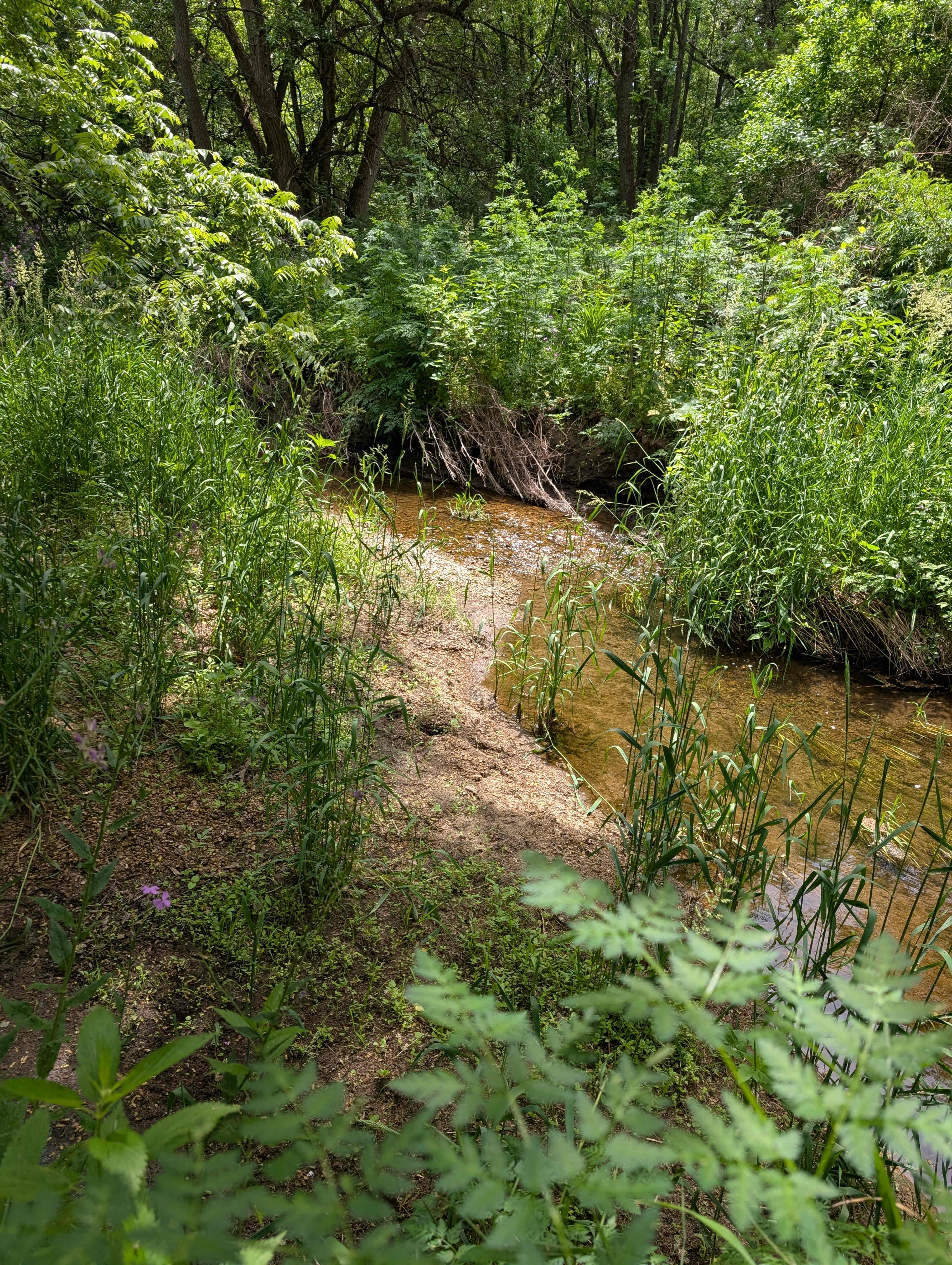 Bear Bottom Ranch