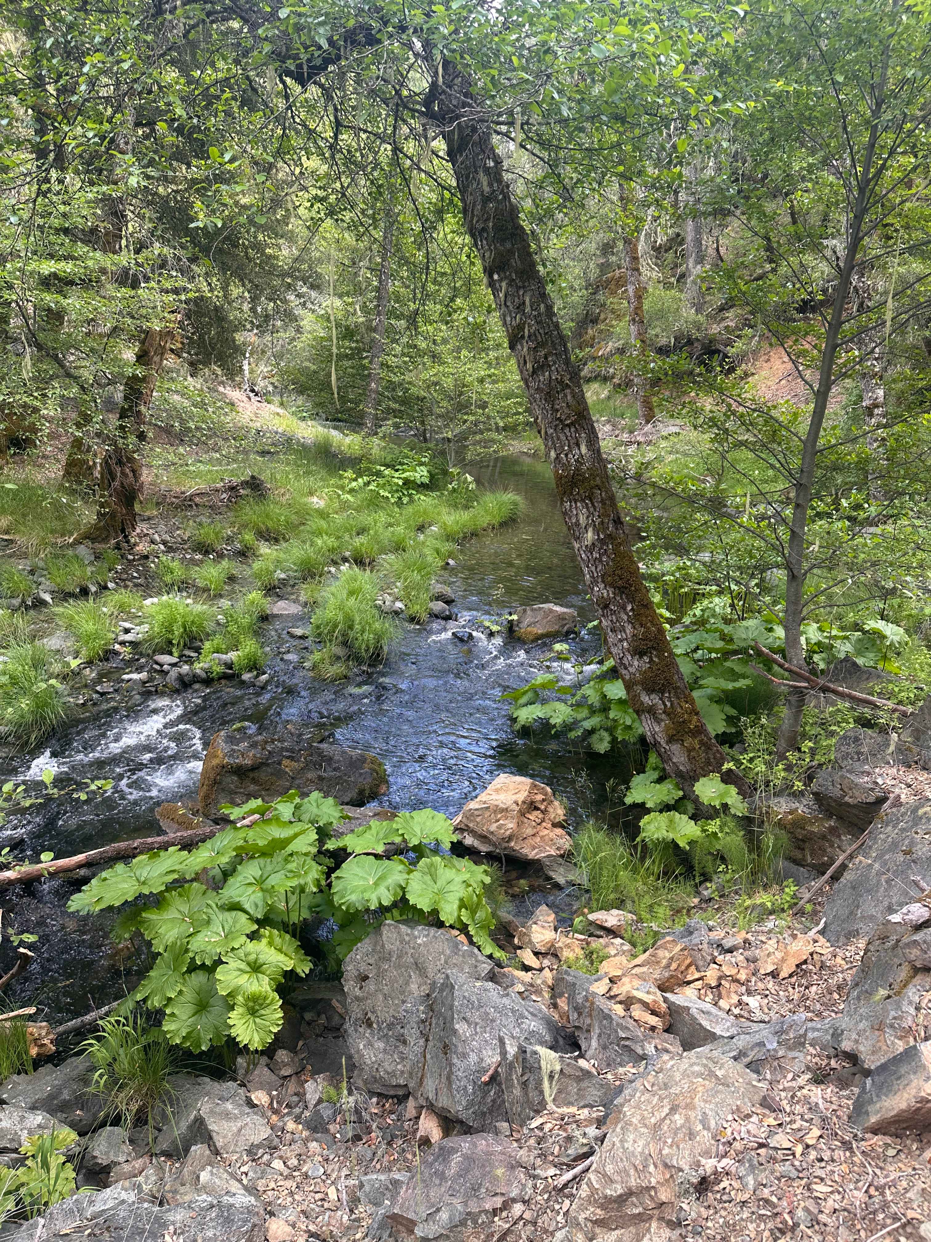 Trinity Outpost Wilderness Resort