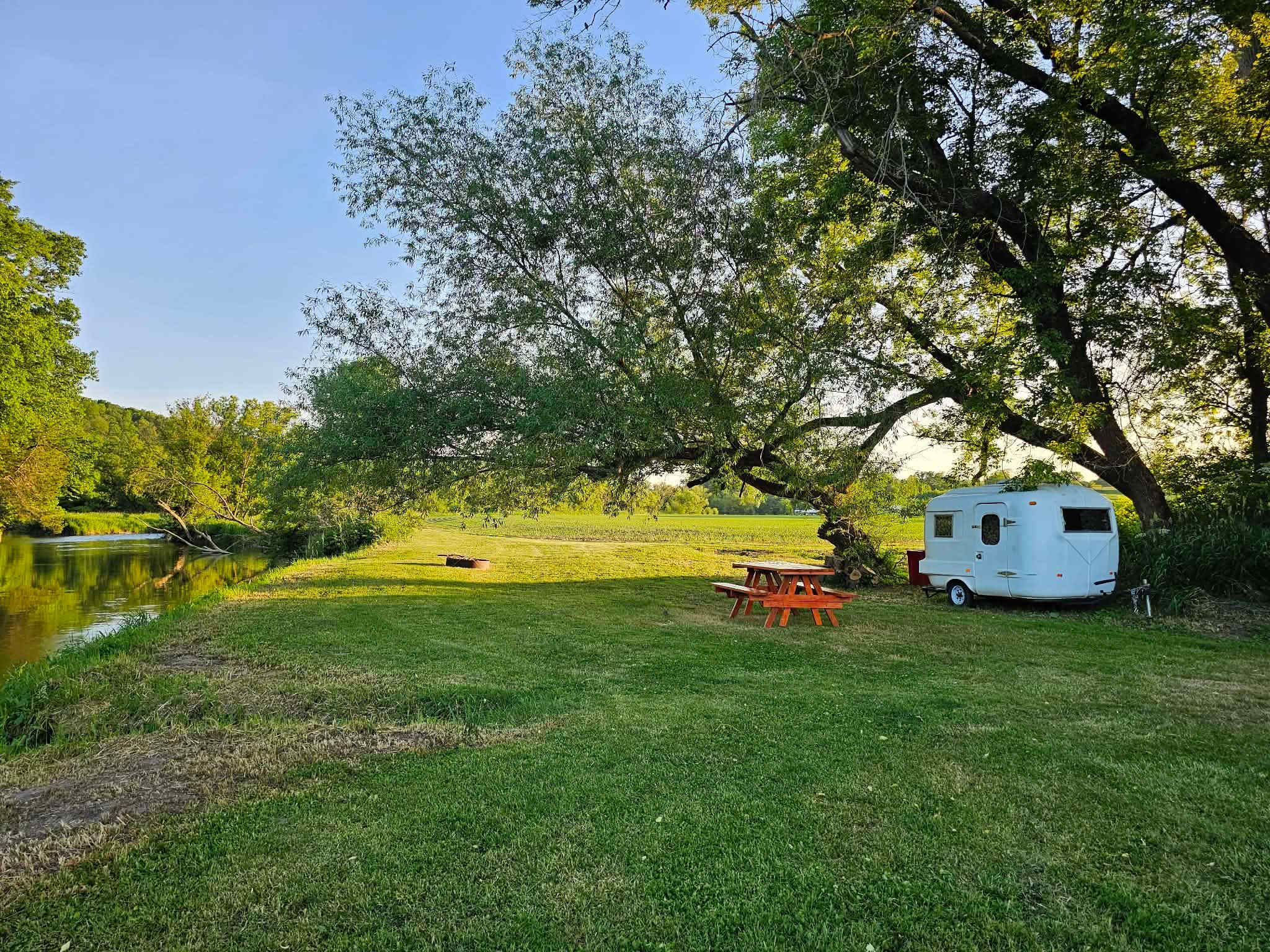 The Driftless Willow