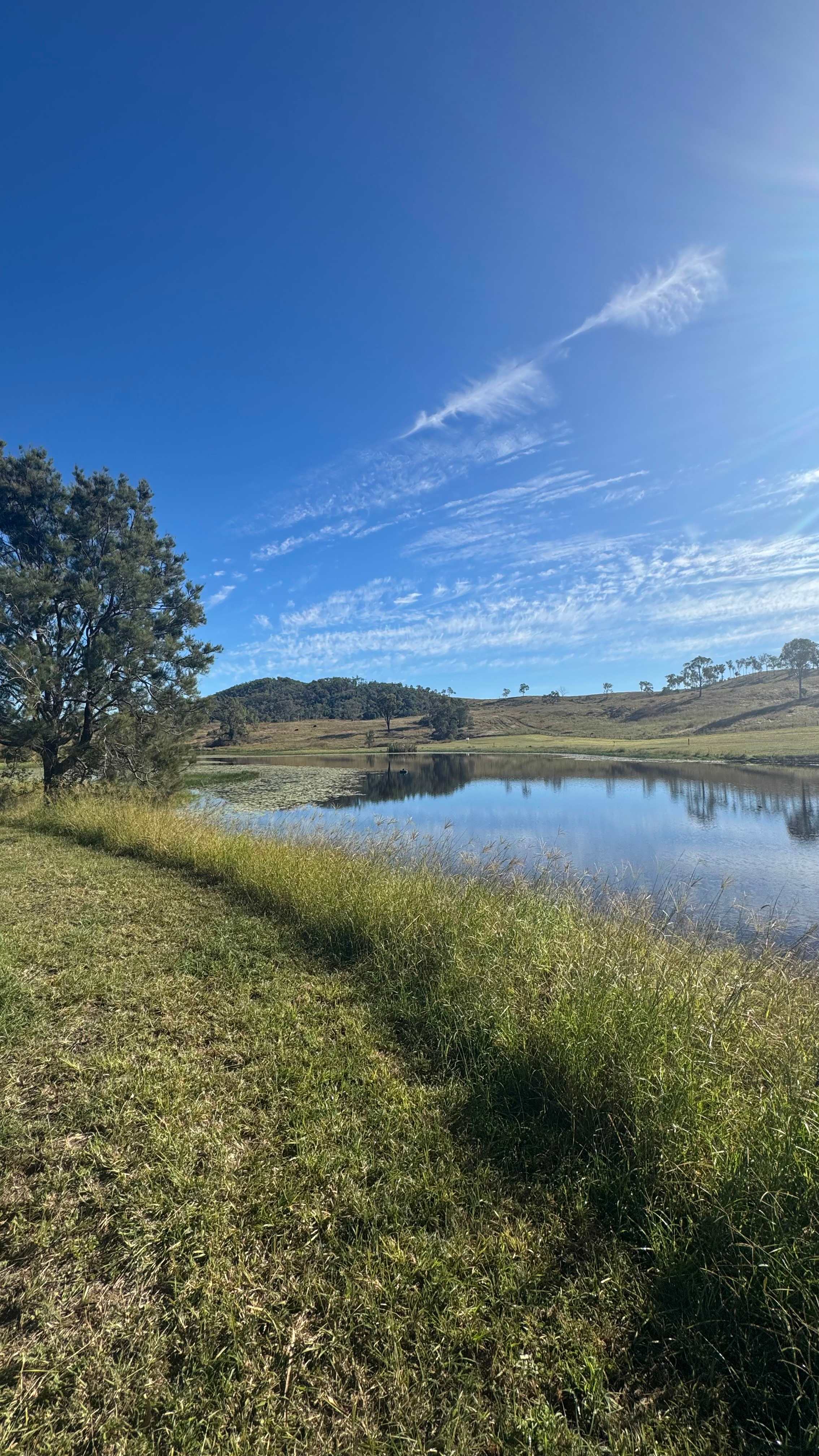 Site 19 - Stunning 