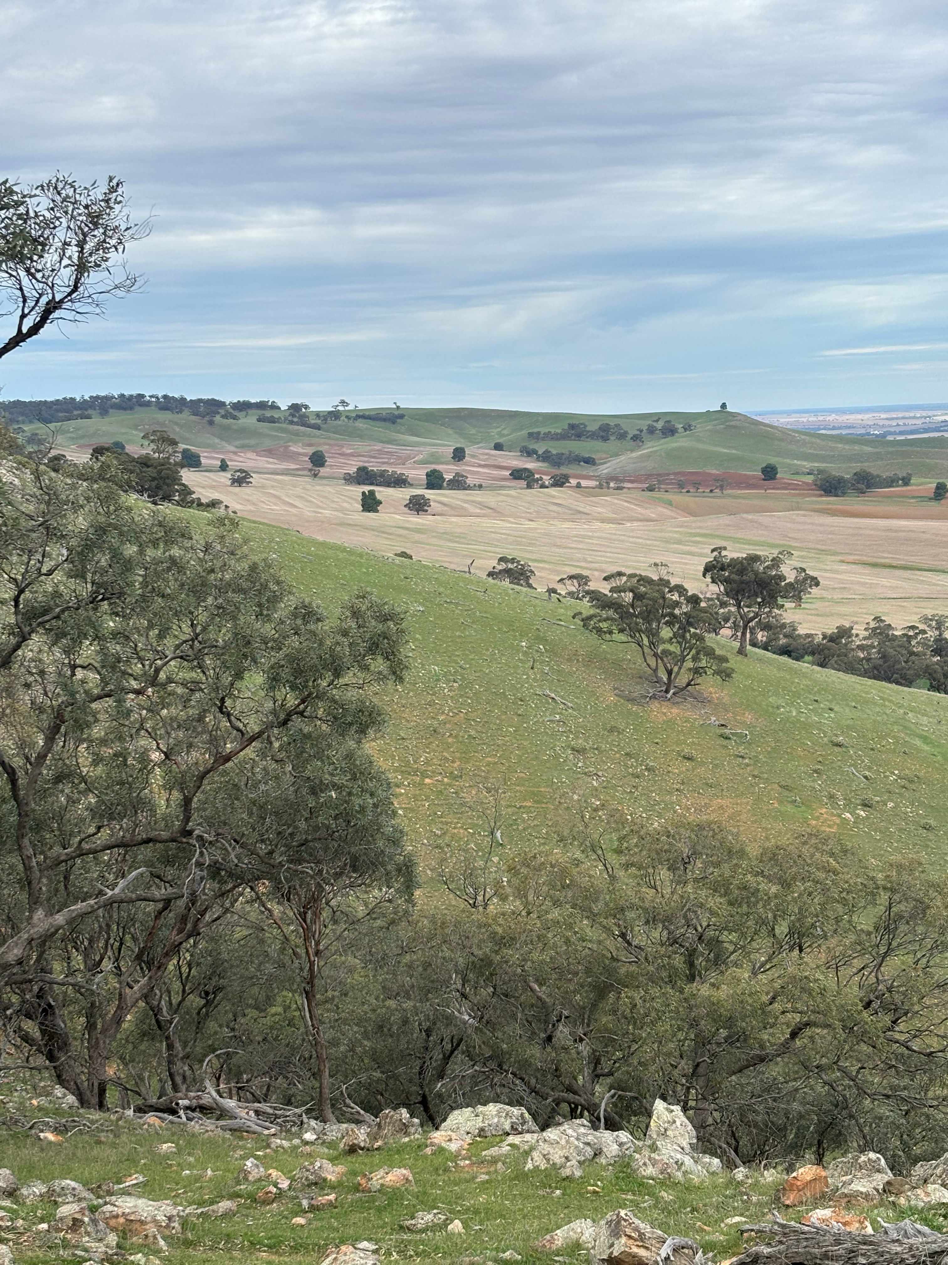 Edgehill Farm Stays Riverton