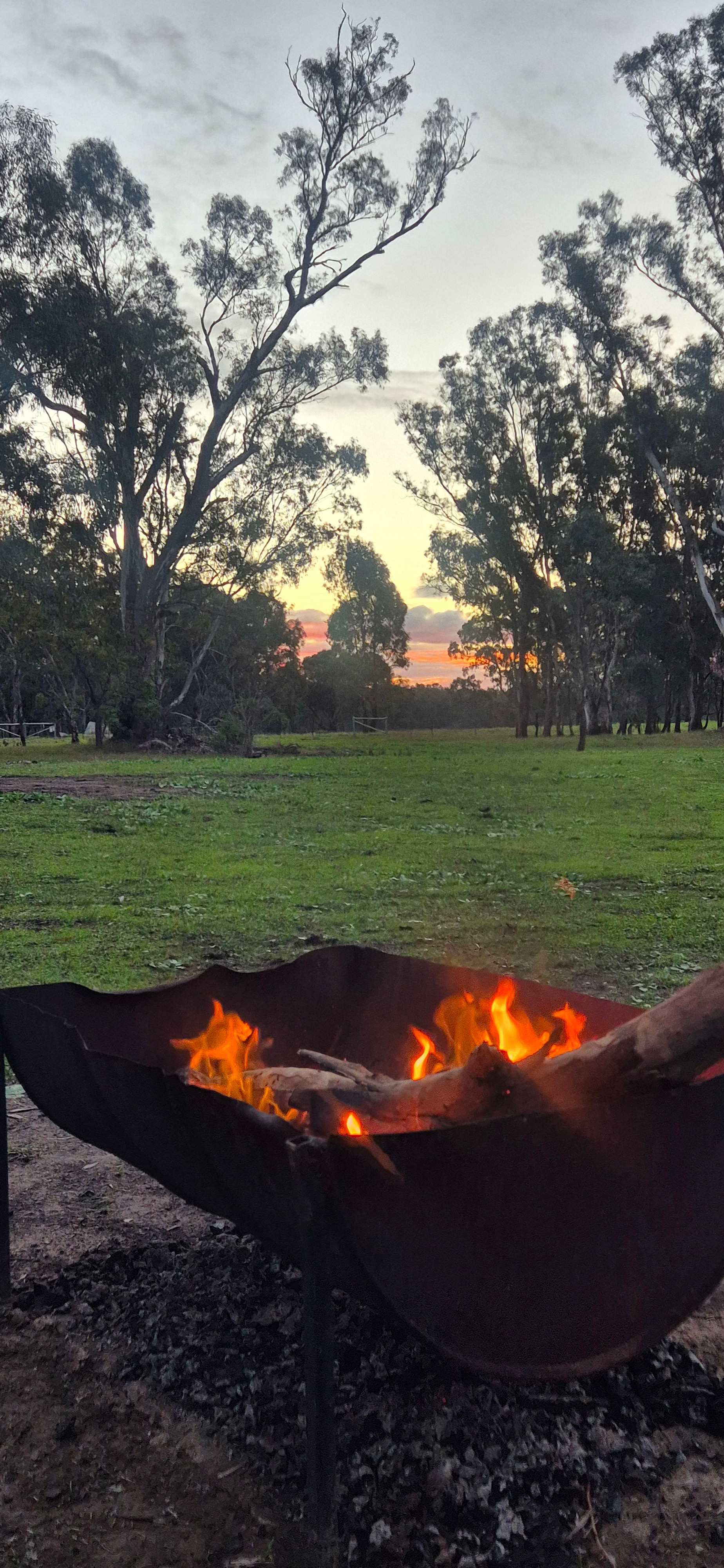 Amaroo On McLays