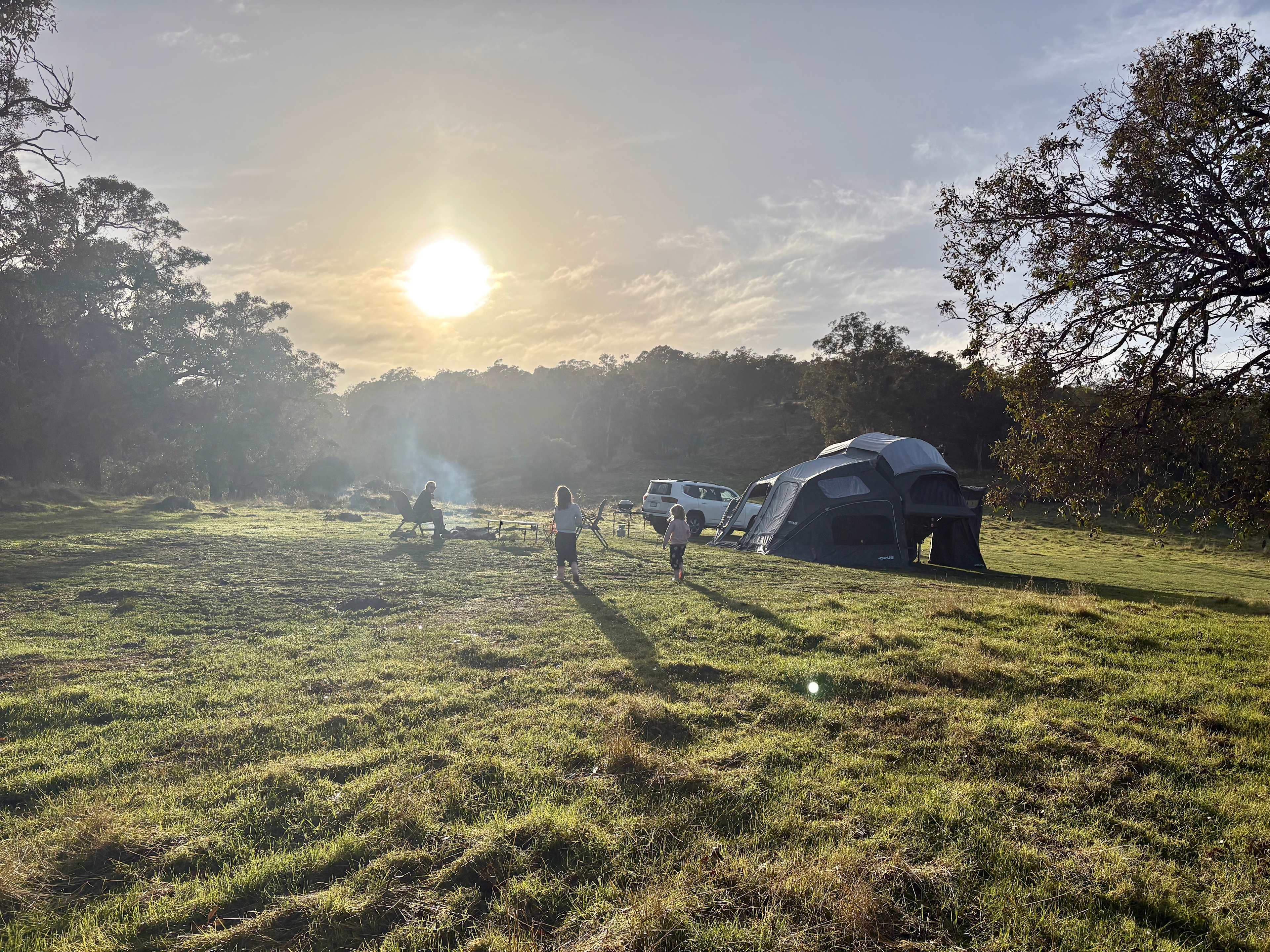 Jacaranda Hill Farm