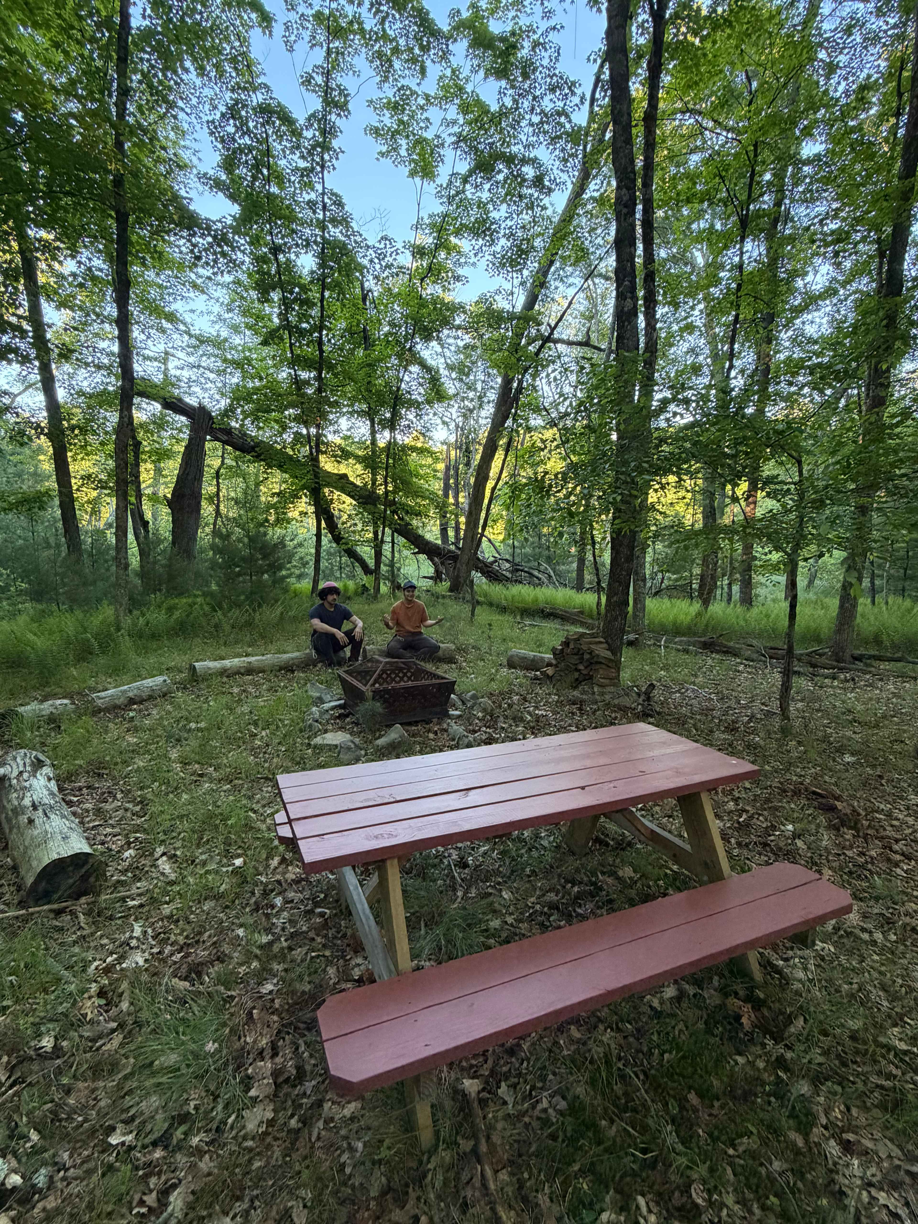 Picture of the site