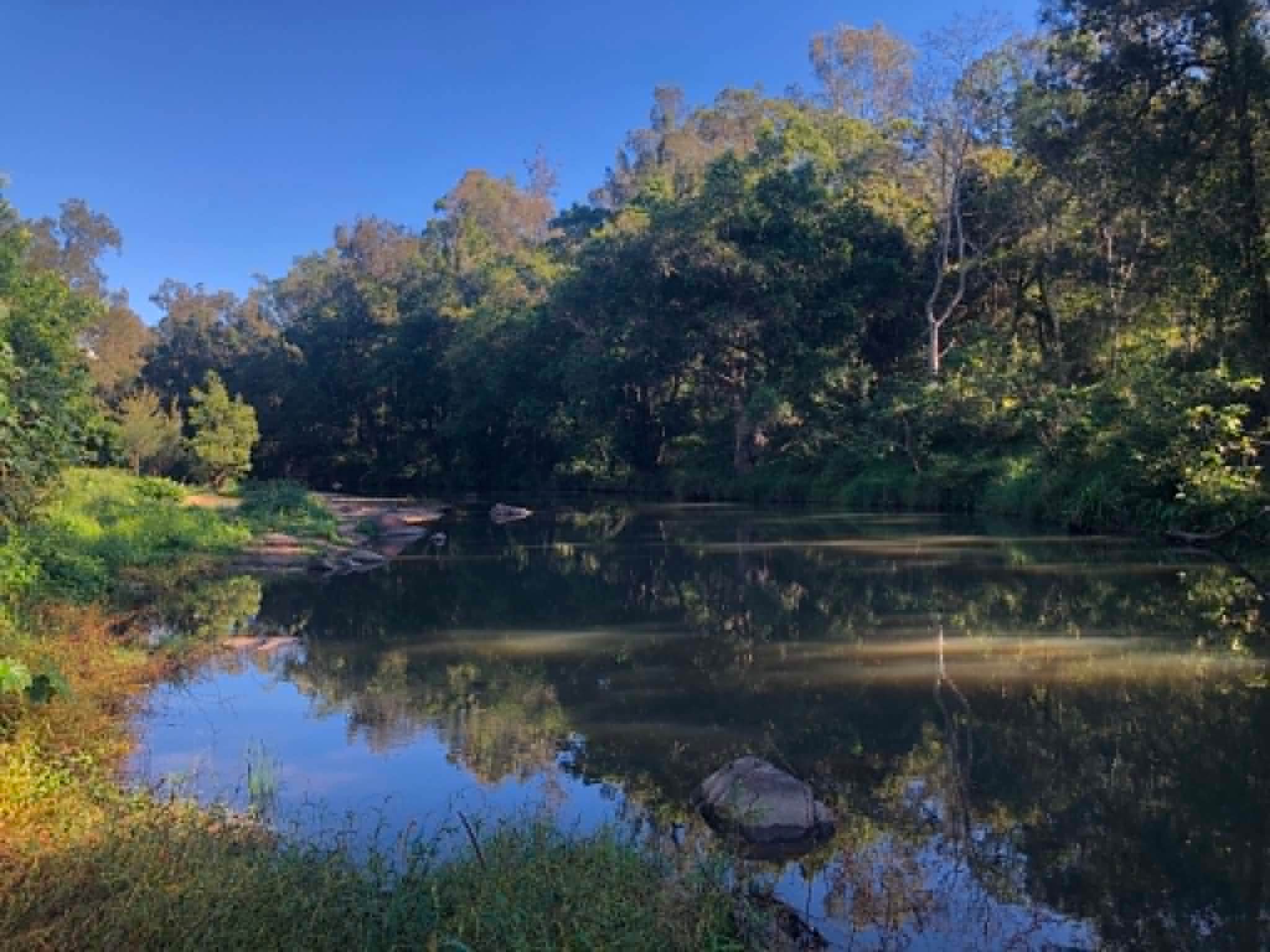 Conondale Valley Farm