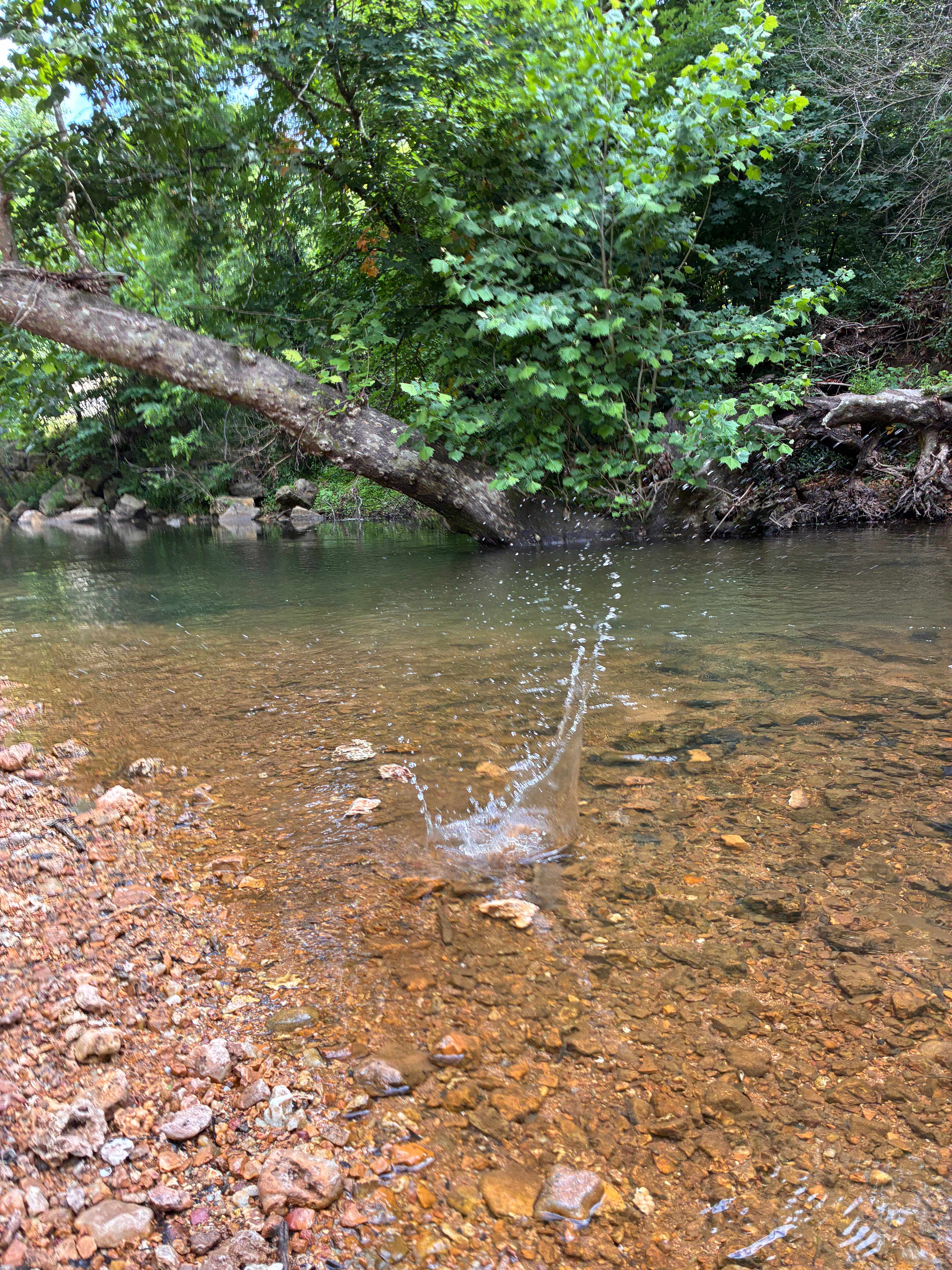 Hawks Bluff Farm Campground