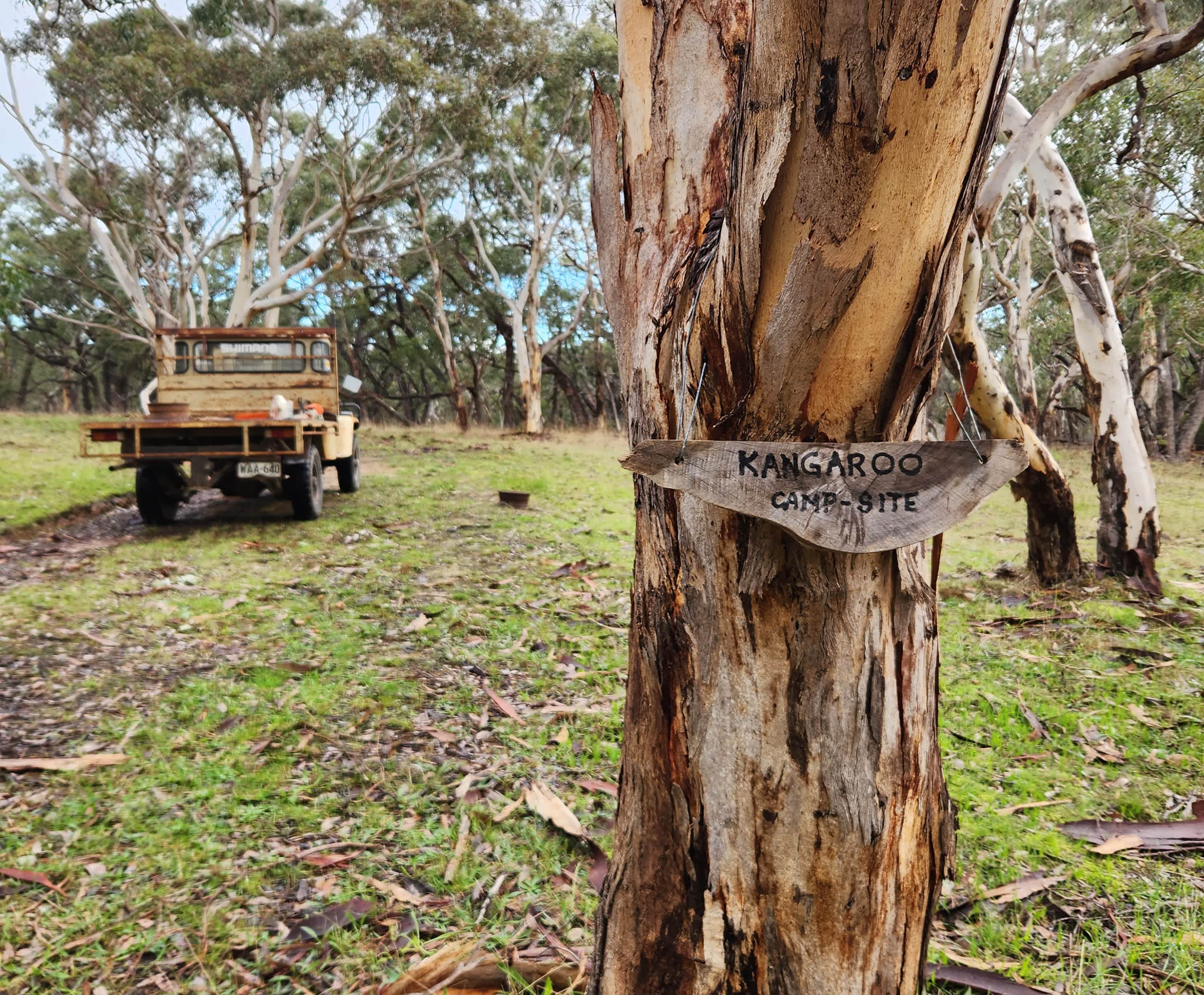 Gum Park Beef Farm
