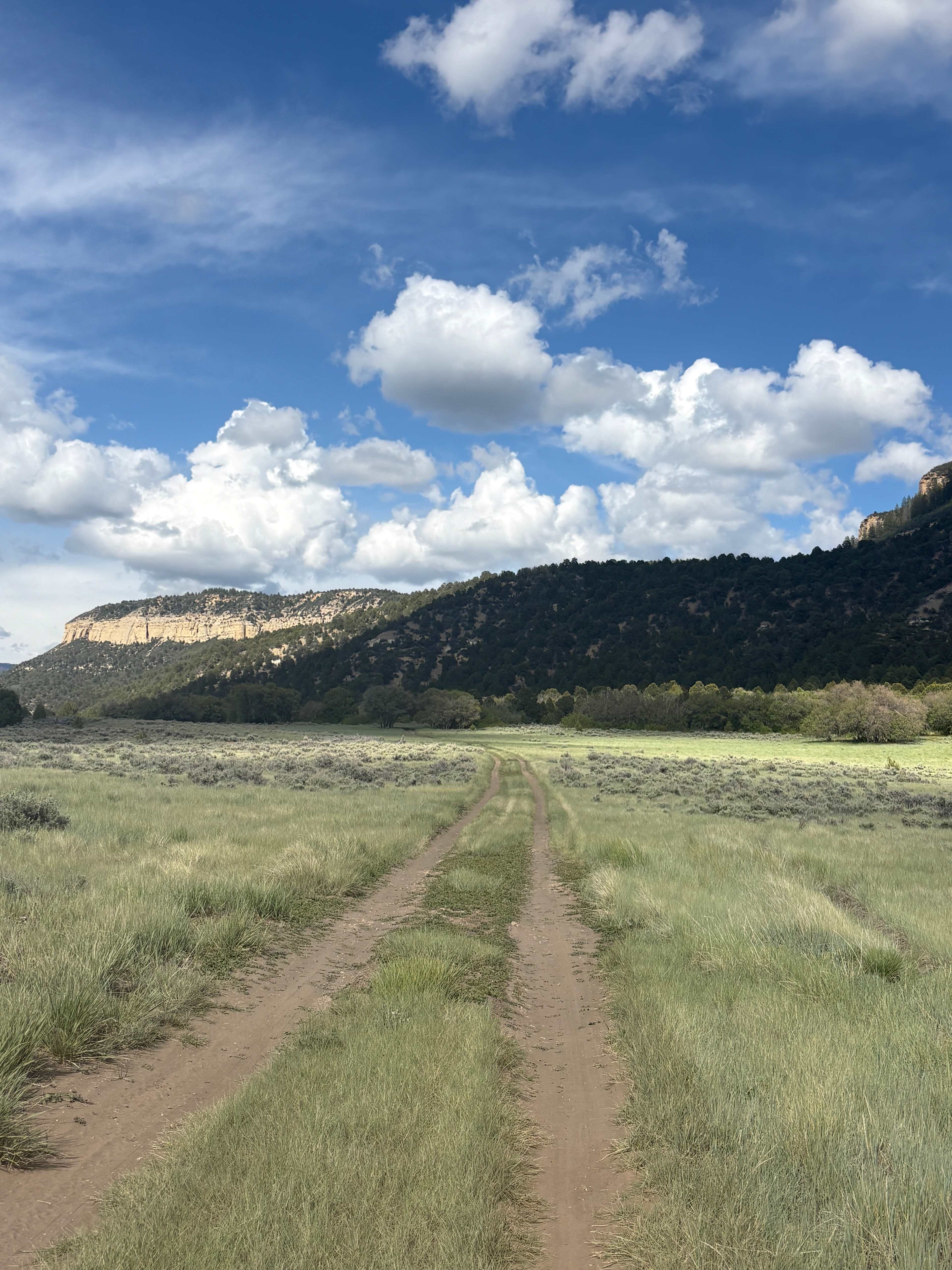 Zion Backcountry Sheep Camps