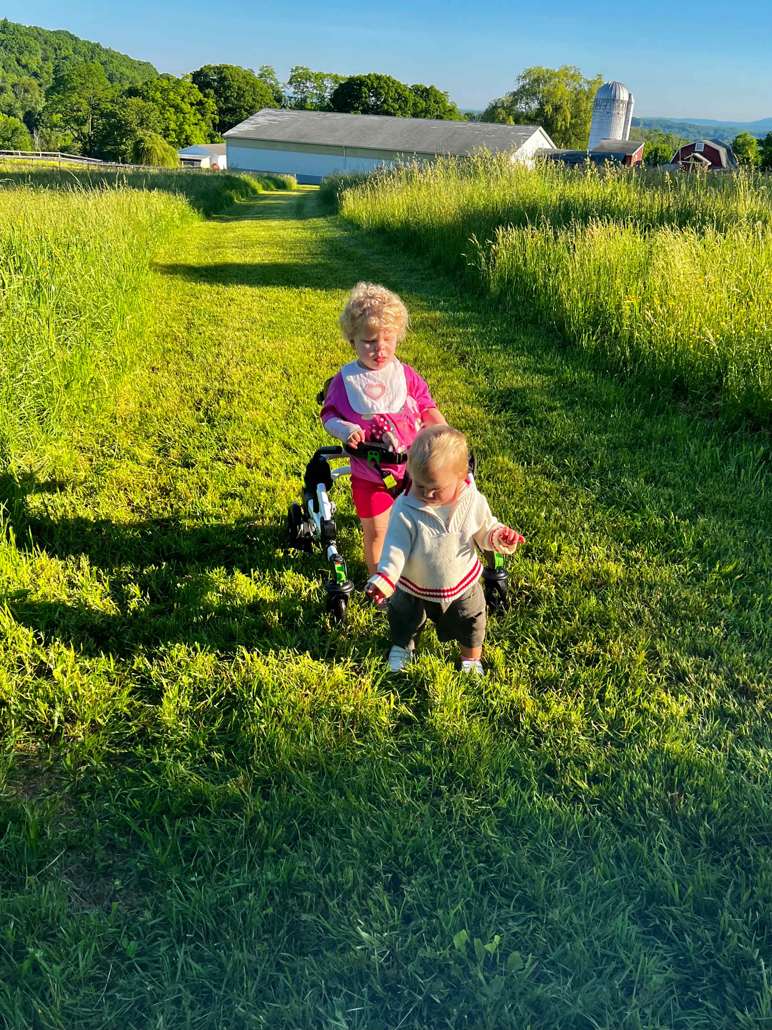Hudson Valley Farm Escape