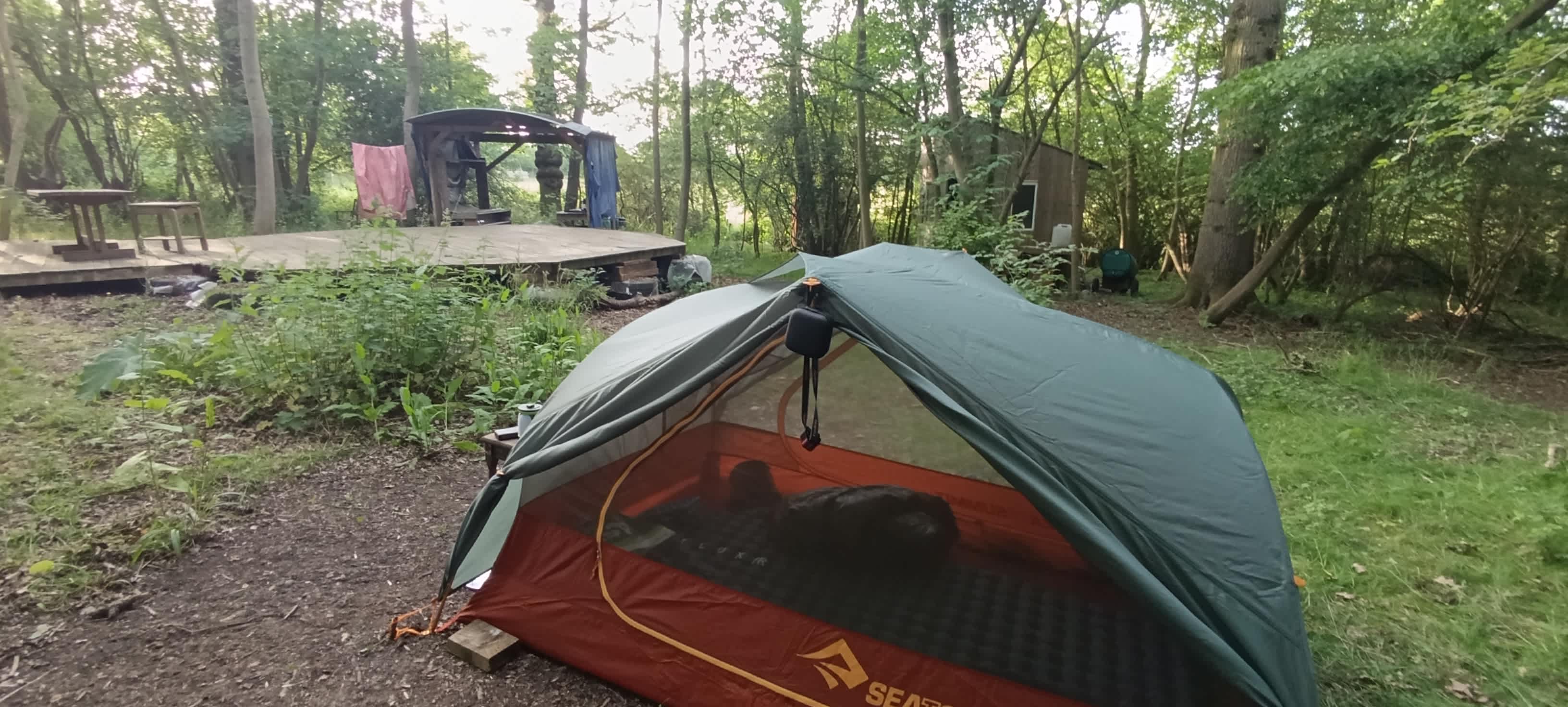 Secluded Woodland Camp