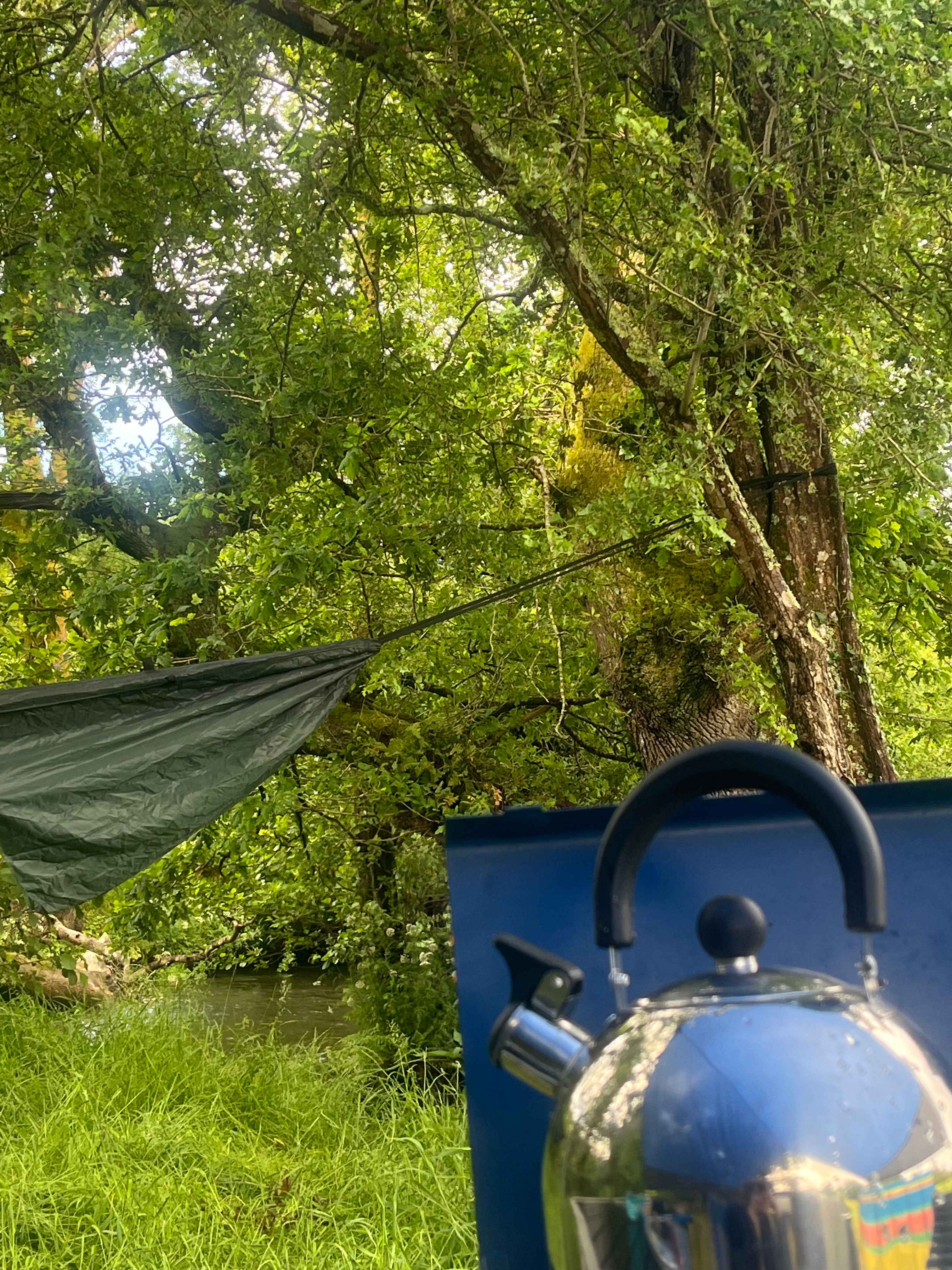 Bush Farm Campsite