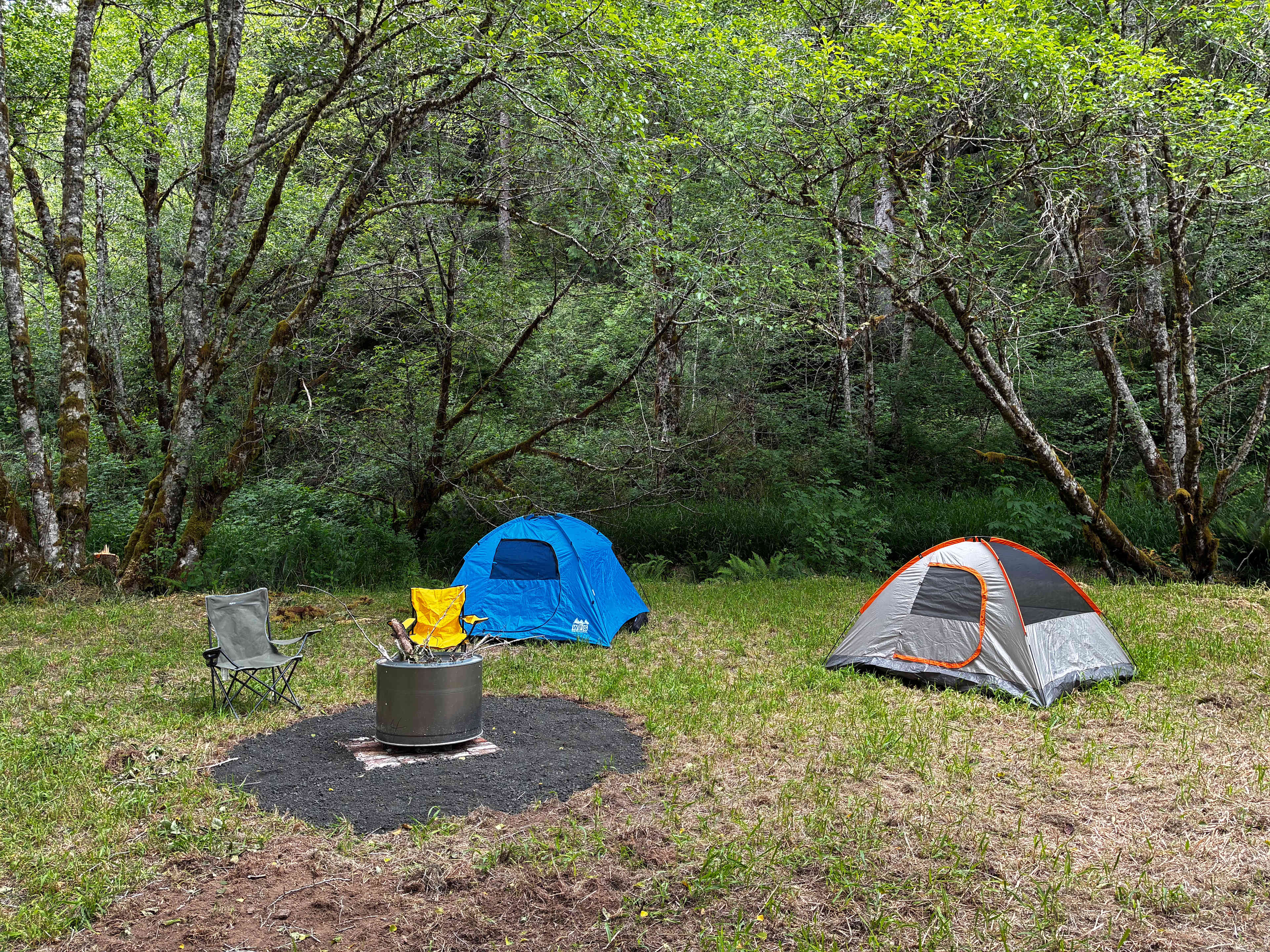 Picture of the site