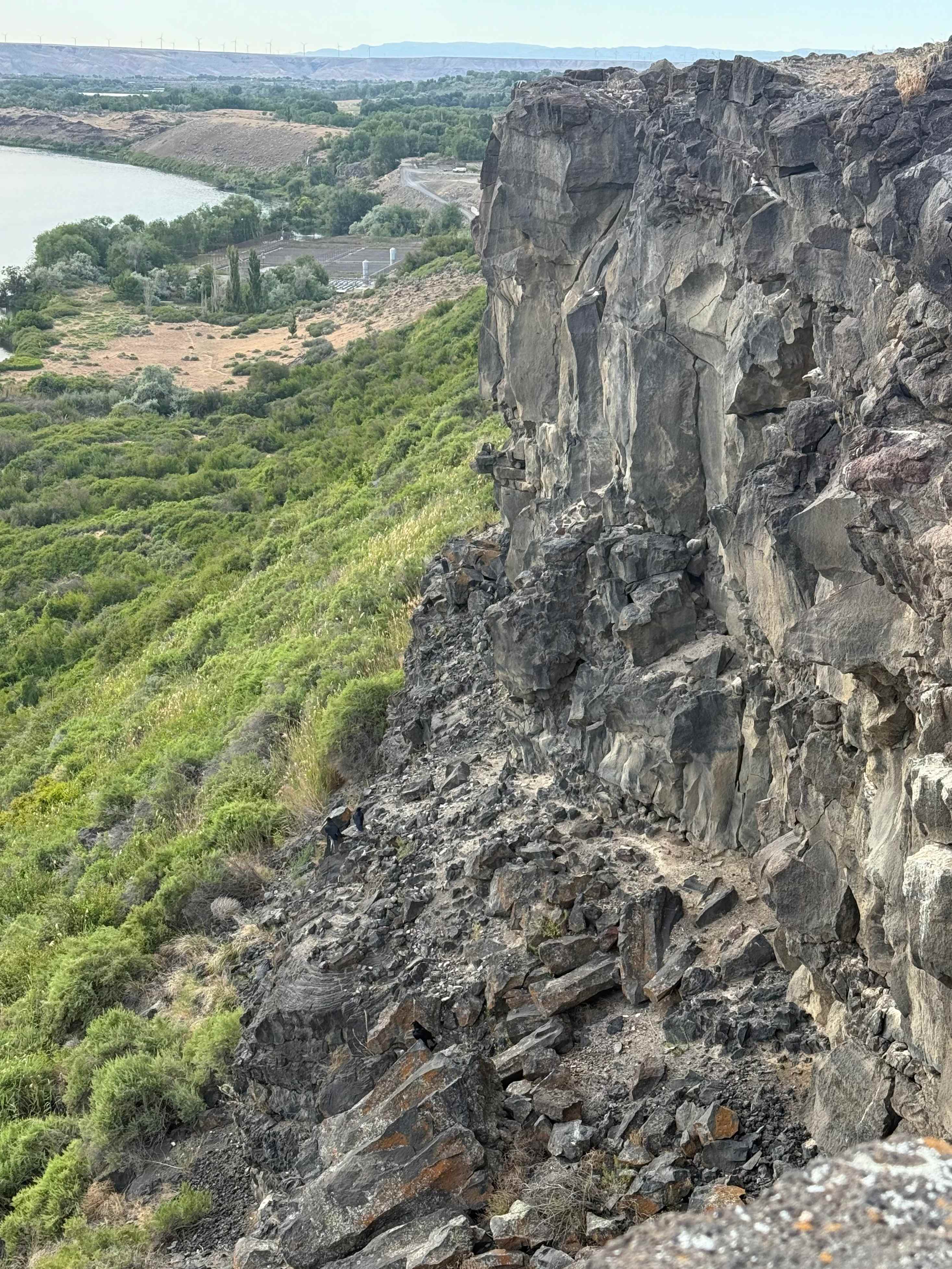 Picture of the site