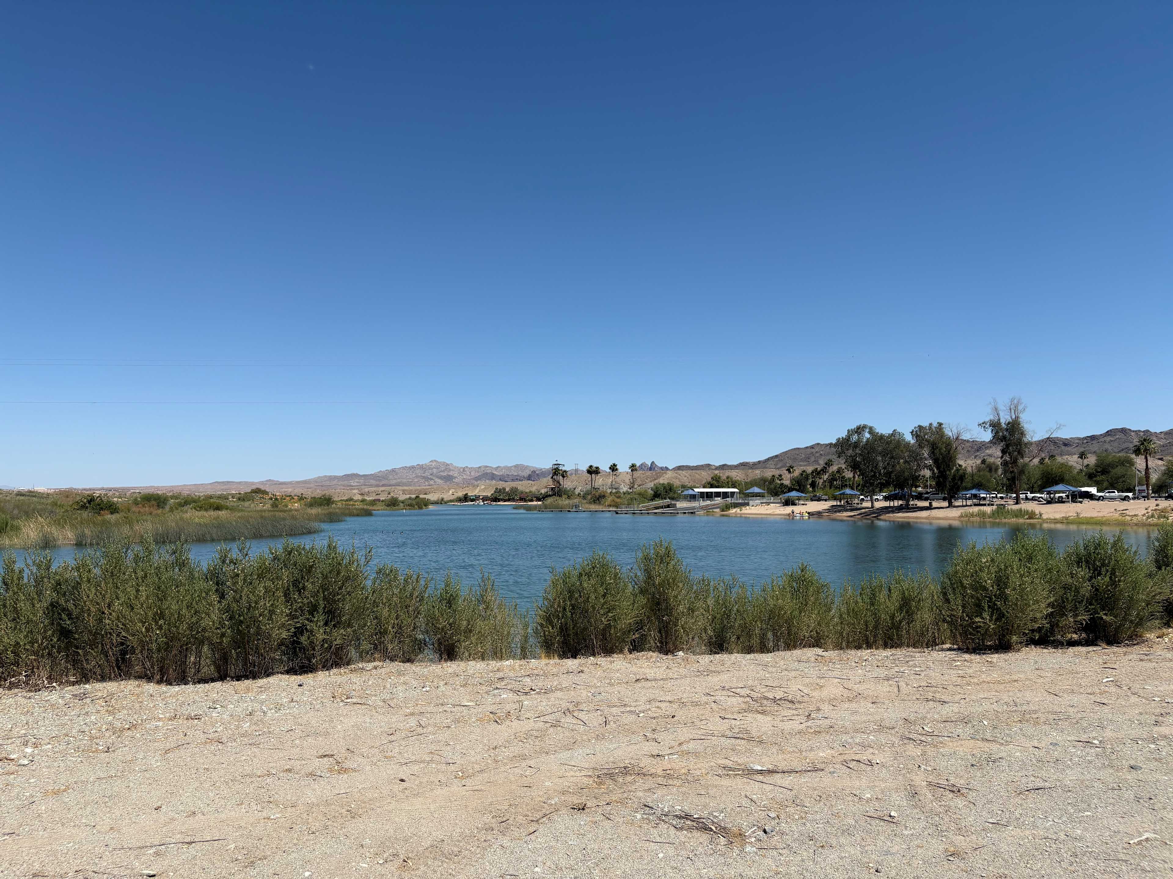 Picture of the site