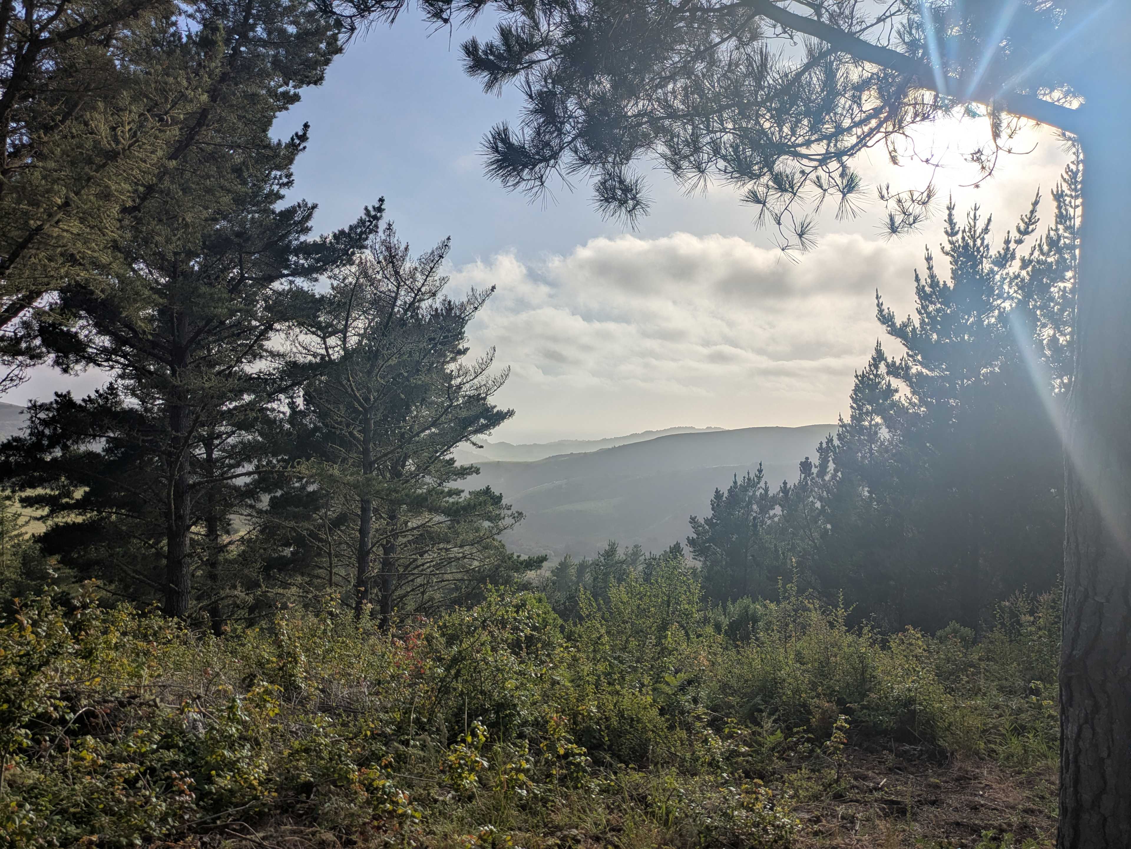 The ocean is back there! And the view the other way is fantastic - rolling hills as far as you can see.