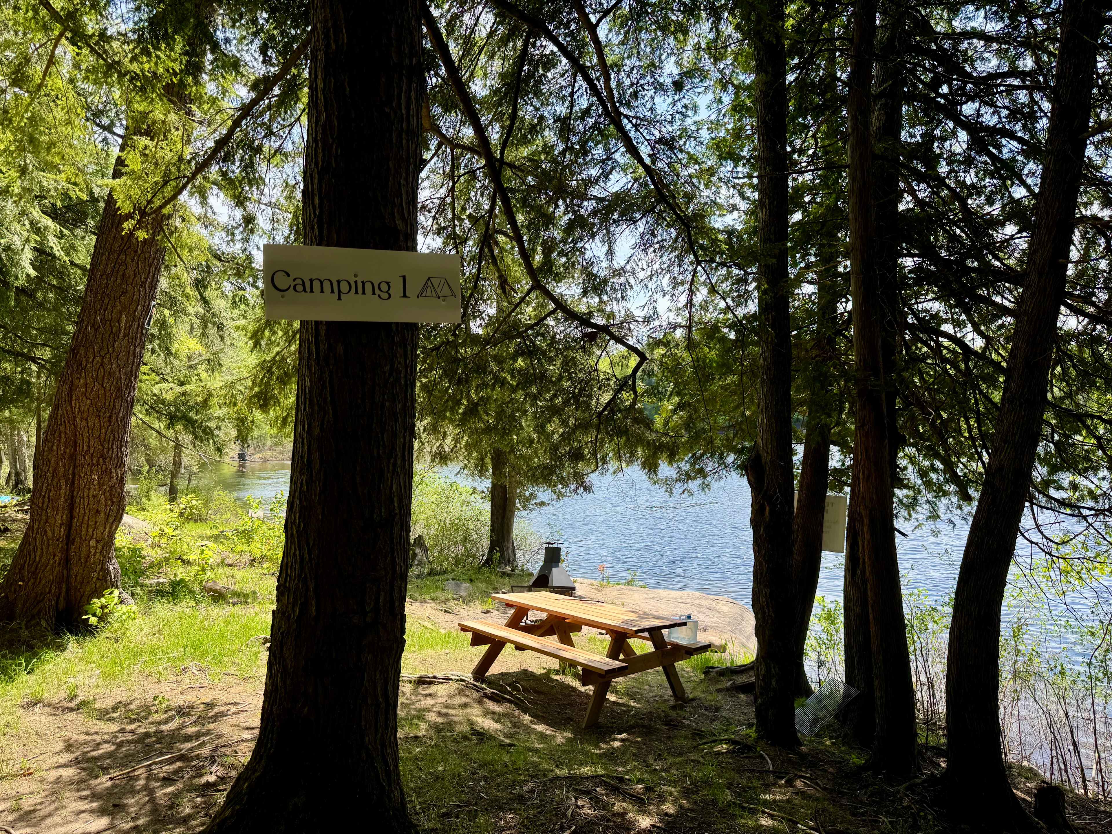 Picture of the site
