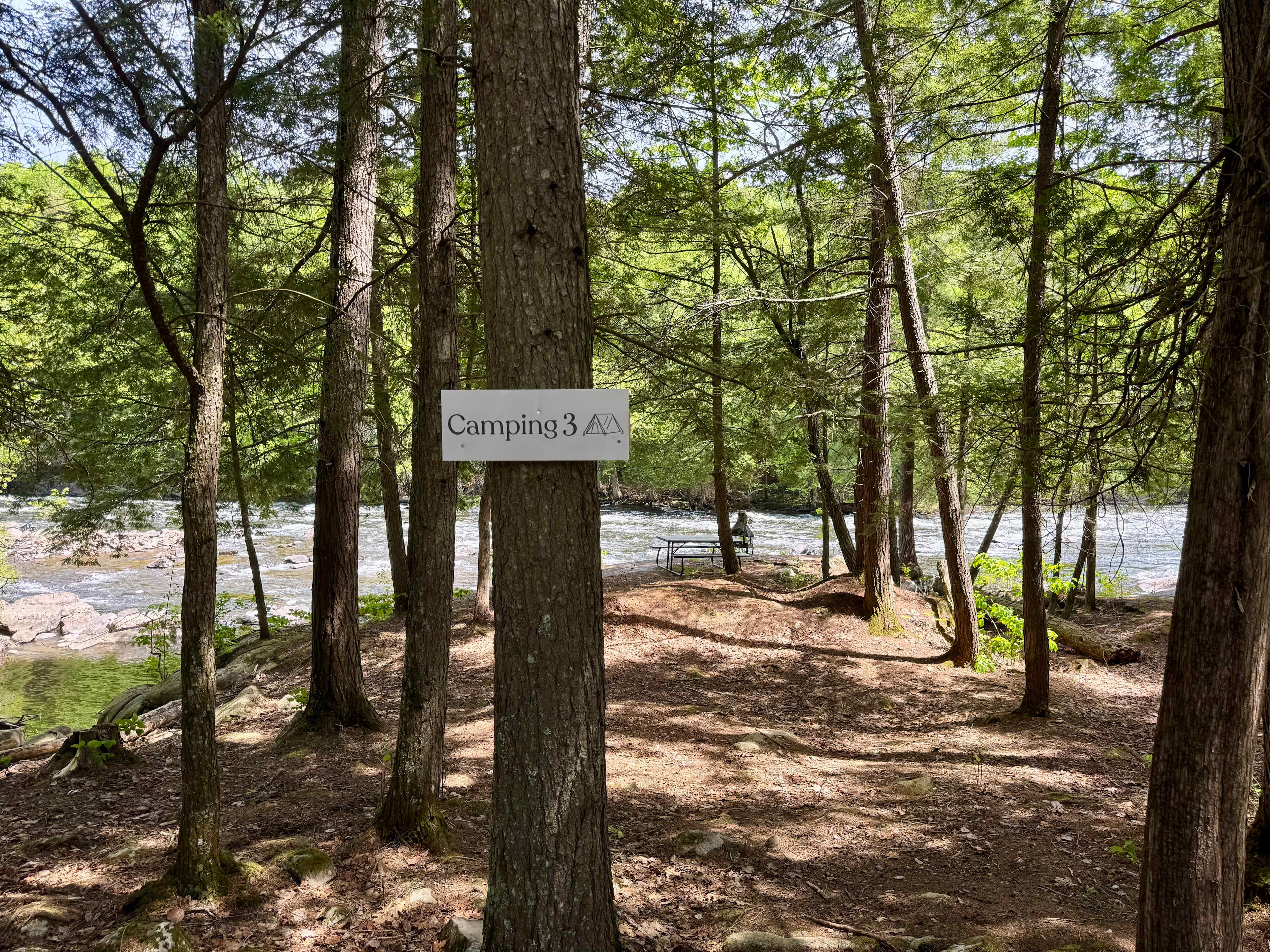 Picture of the site