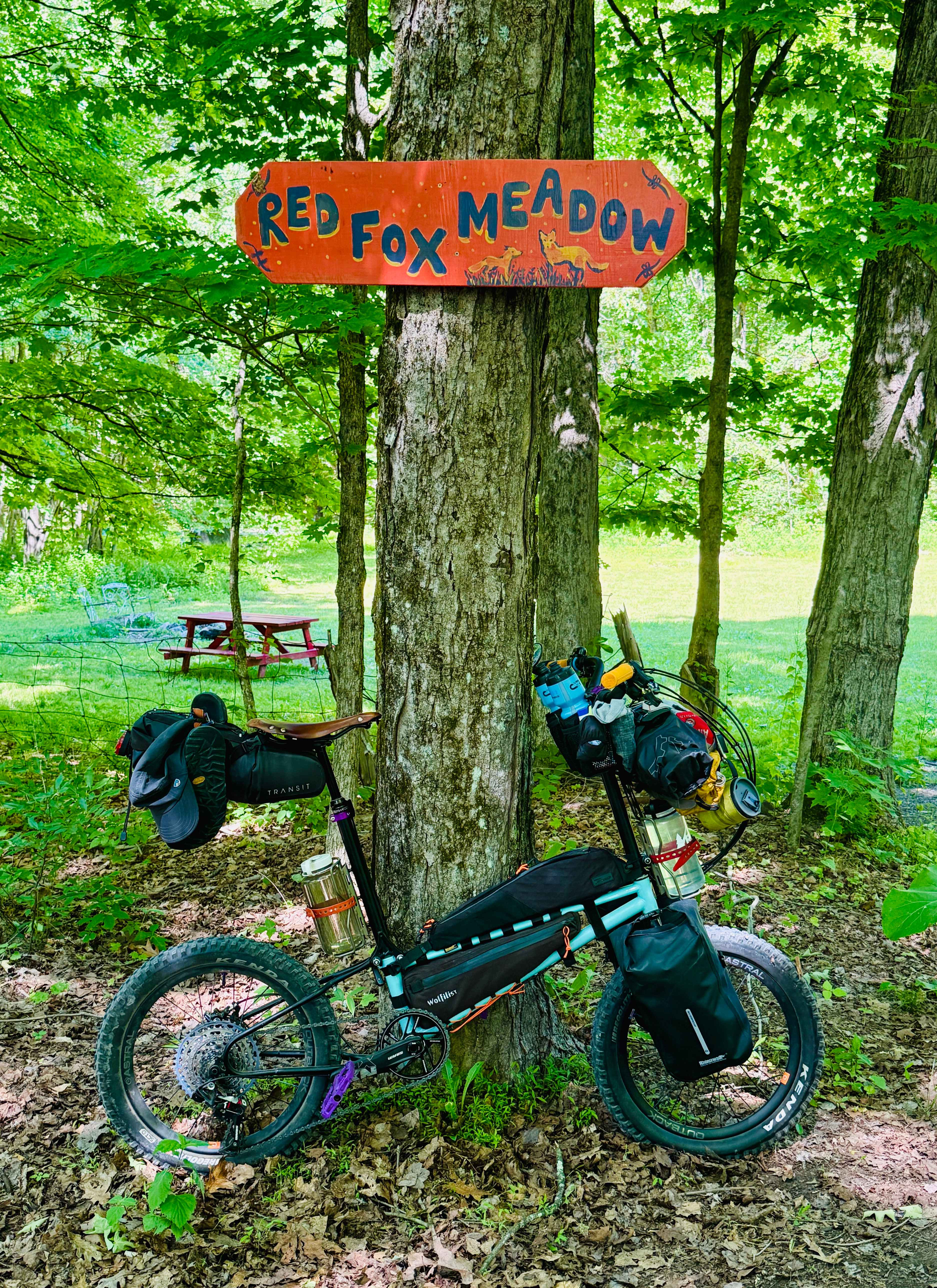 Red Fox Meadow Campsite