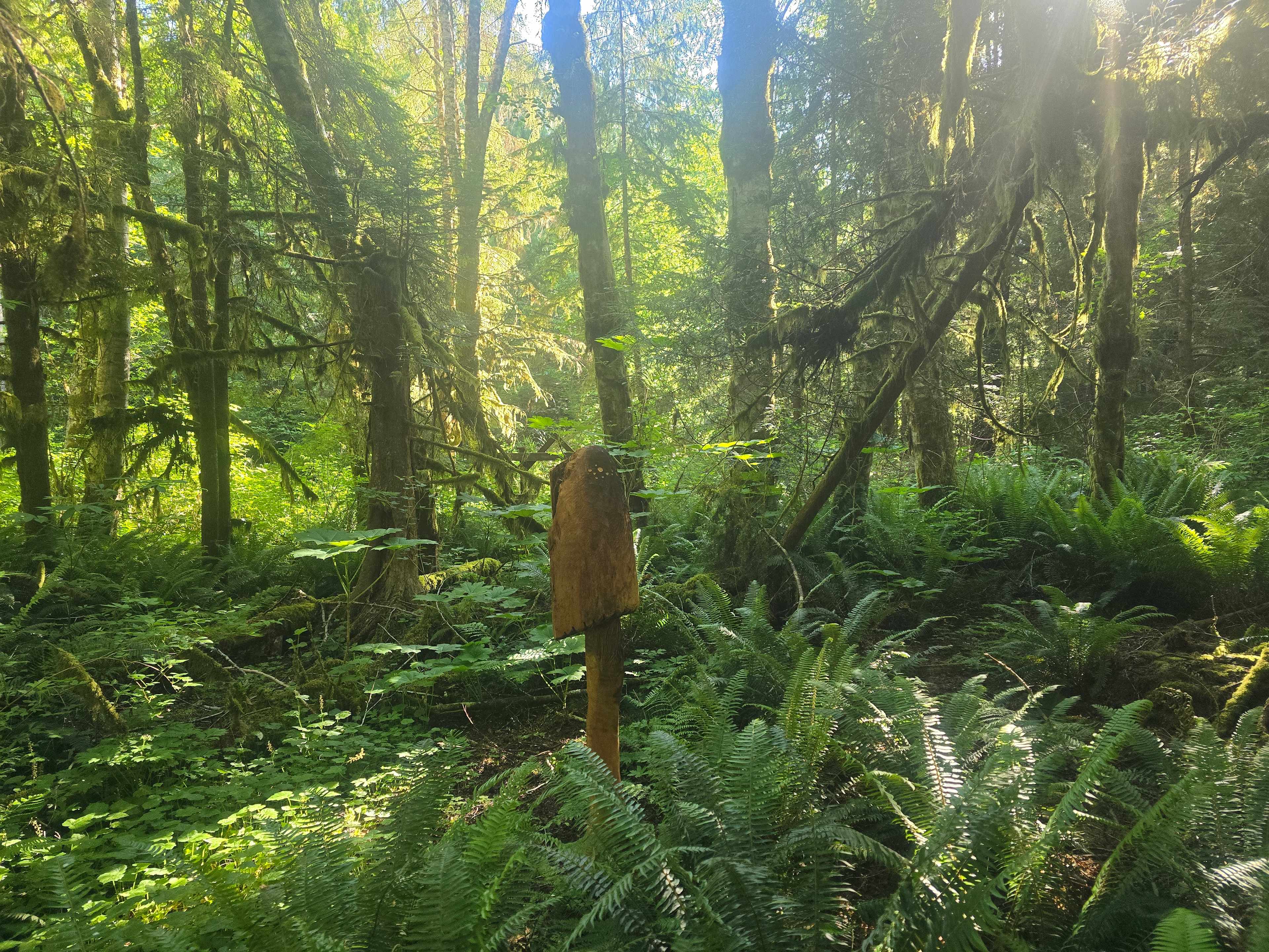 sol duc rainforest retreat