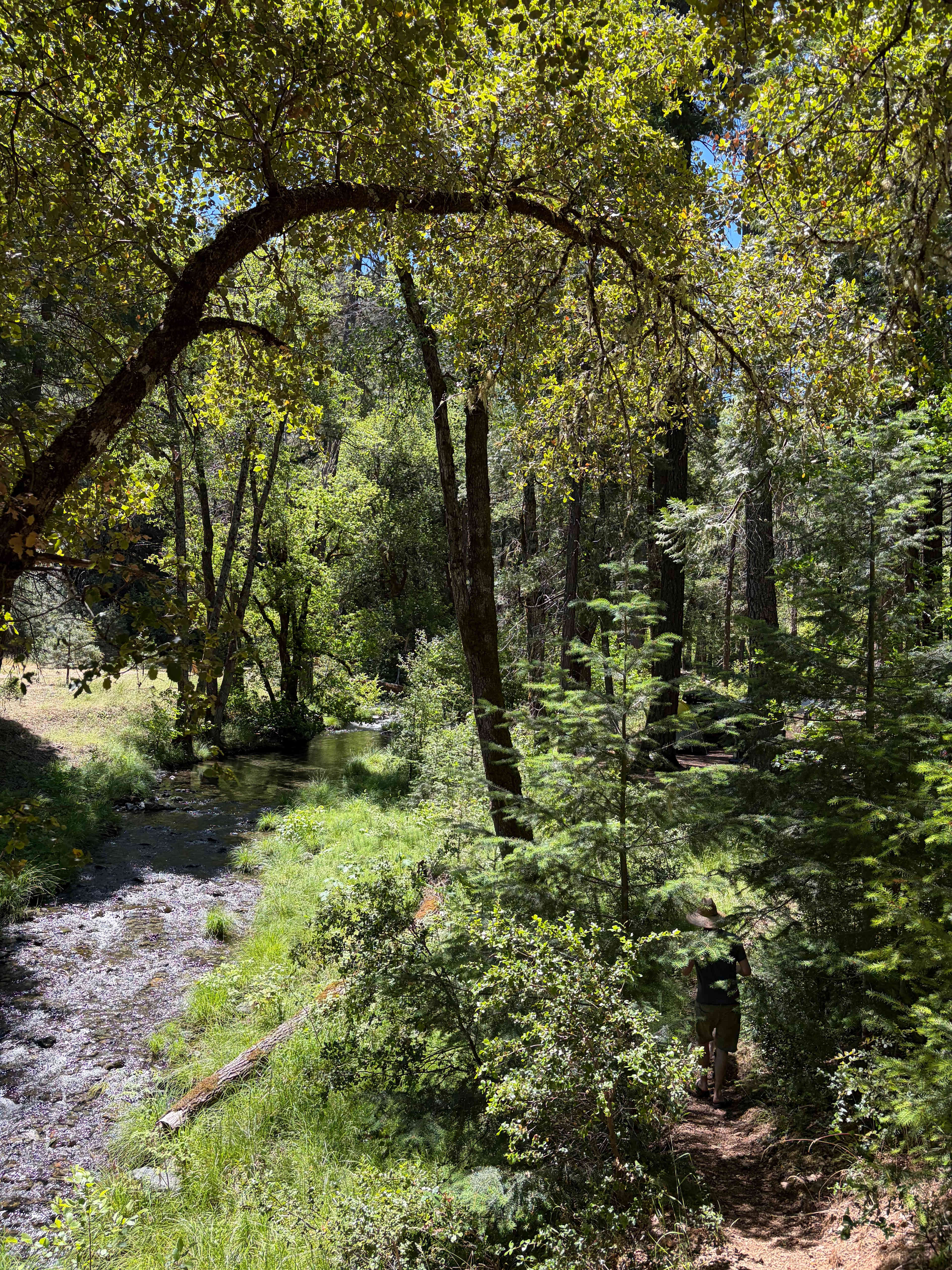 Trinity Outpost Wilderness Resort