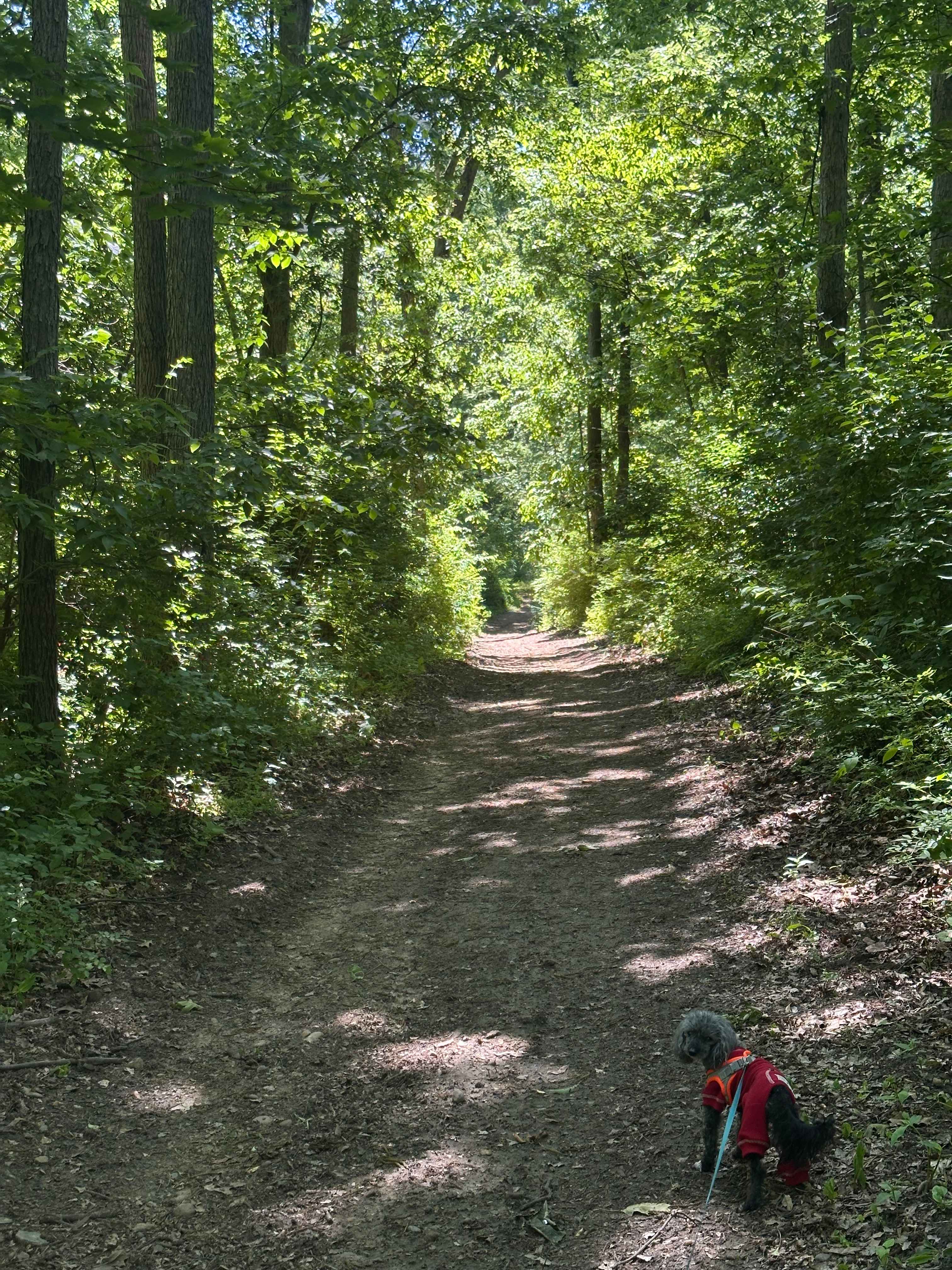 Walnut Valley Realm Campground