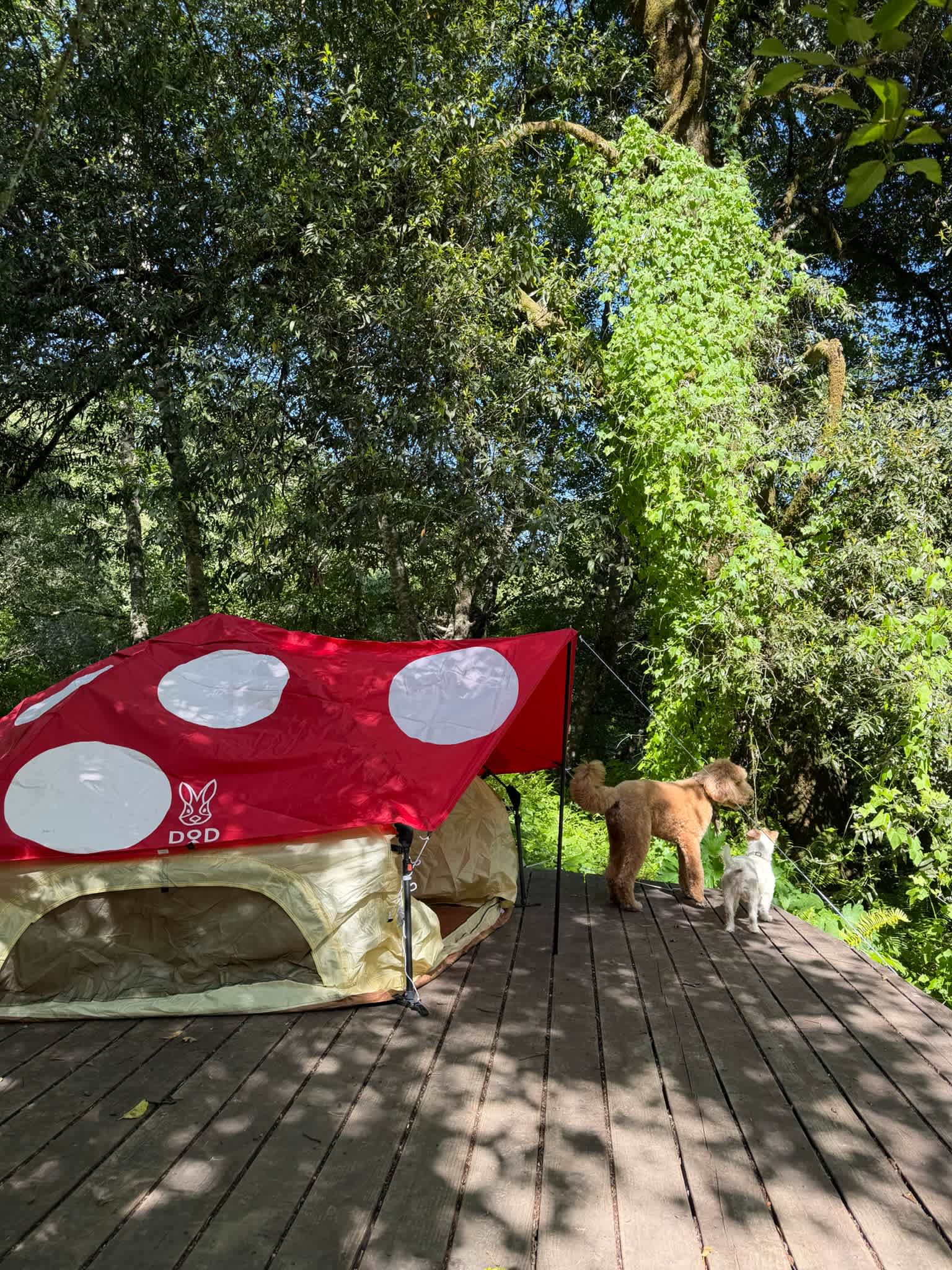 Salmon Creek Ranch