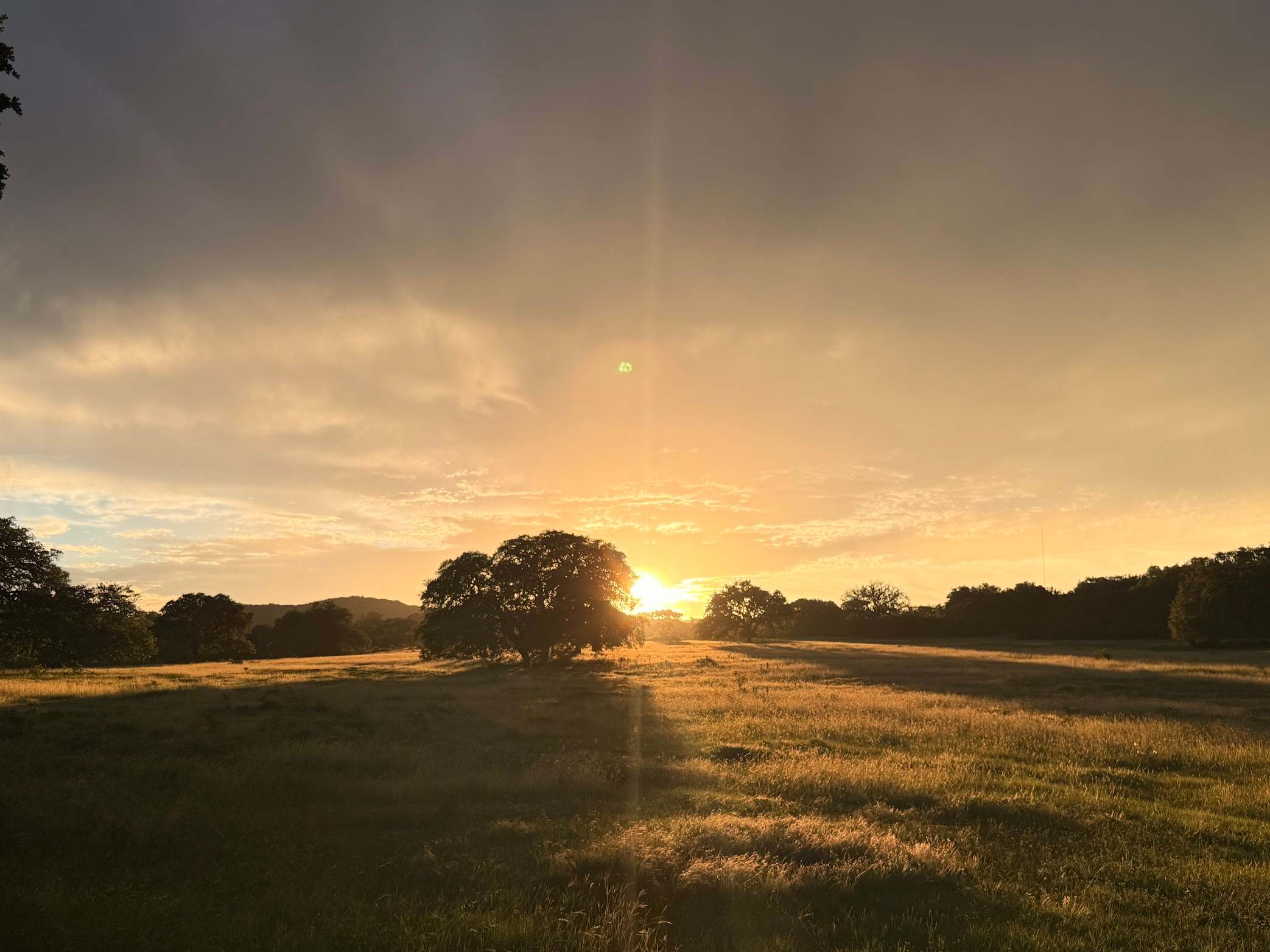 Haby Ranch