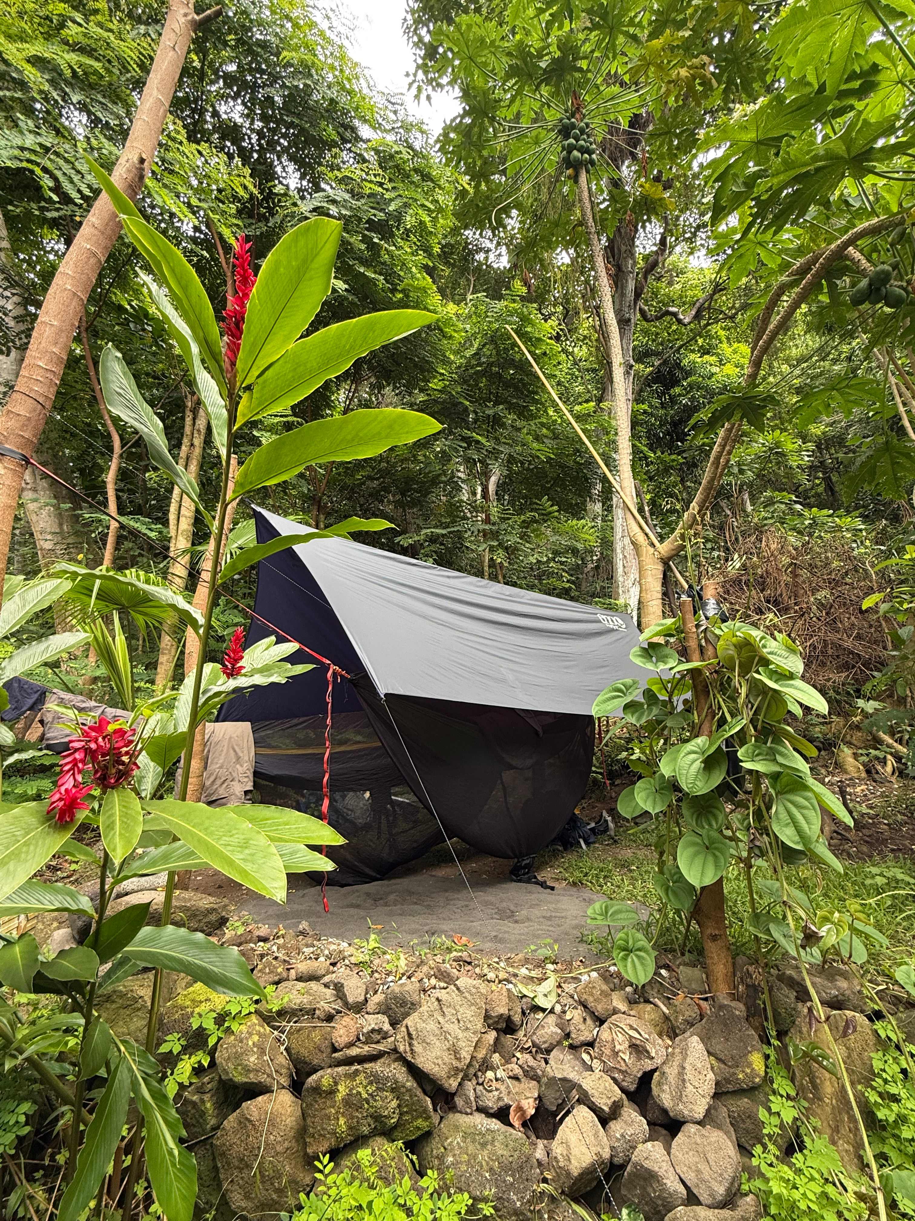 Waipio KOA