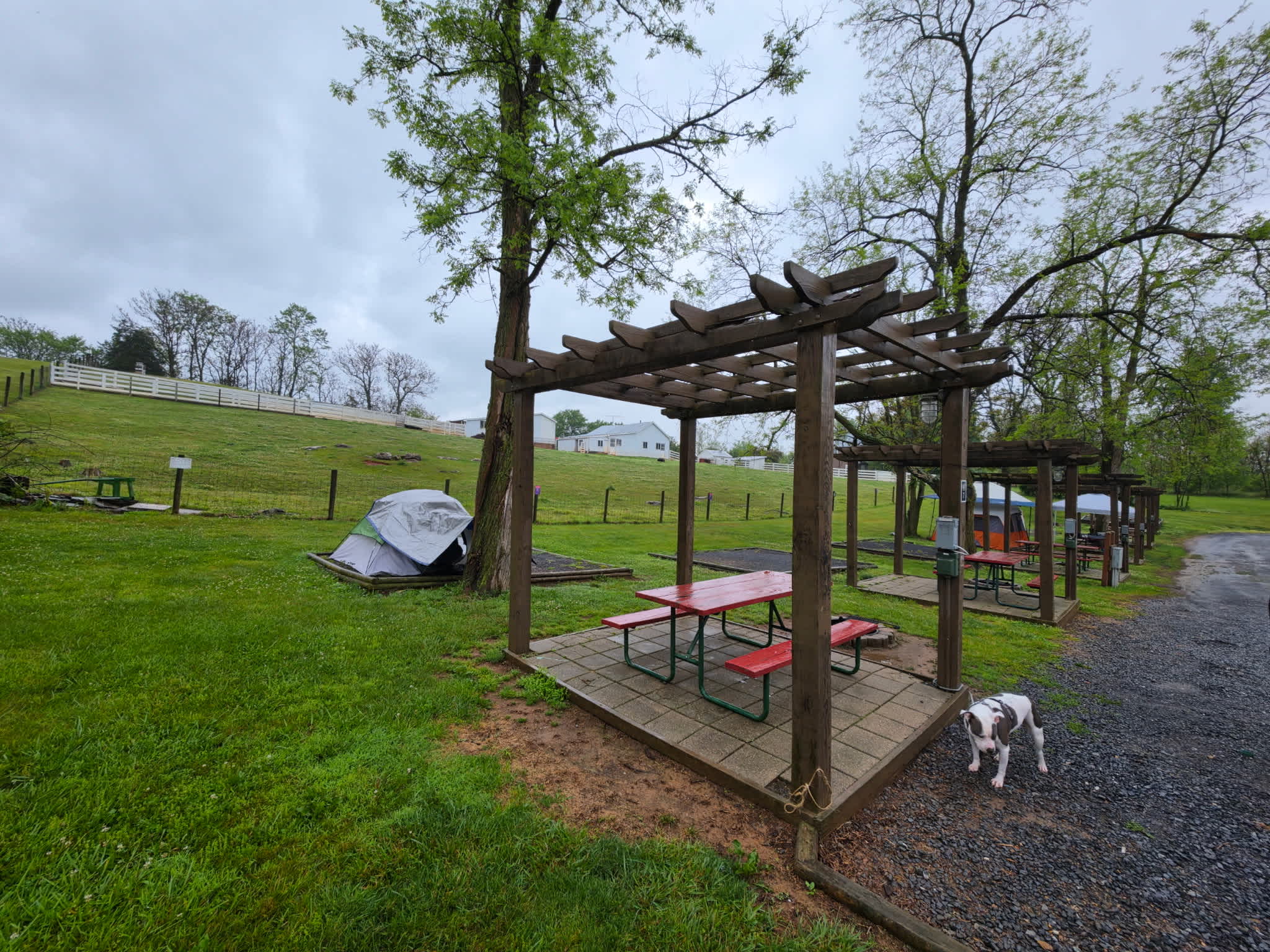 Tent site