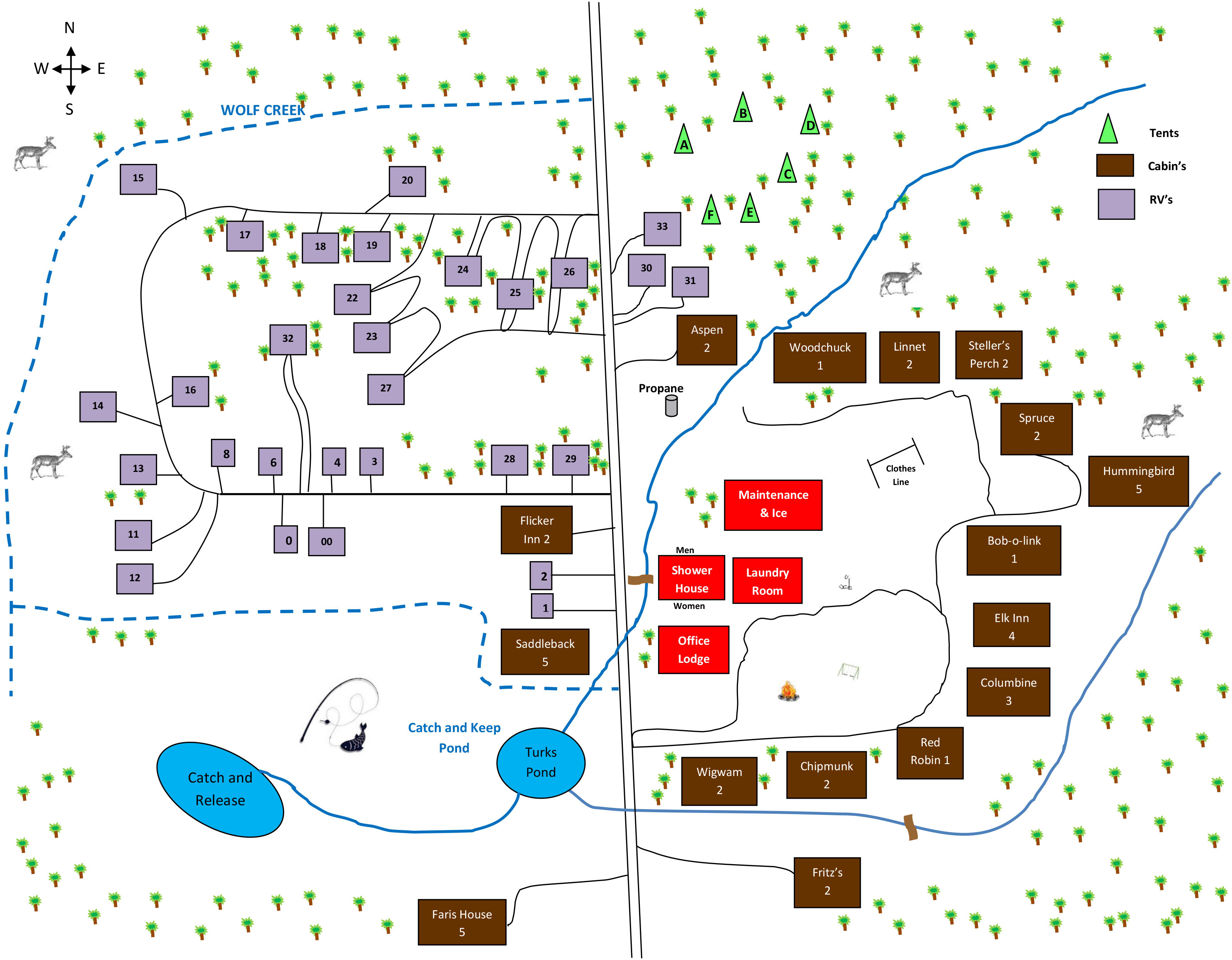 Picture of the site